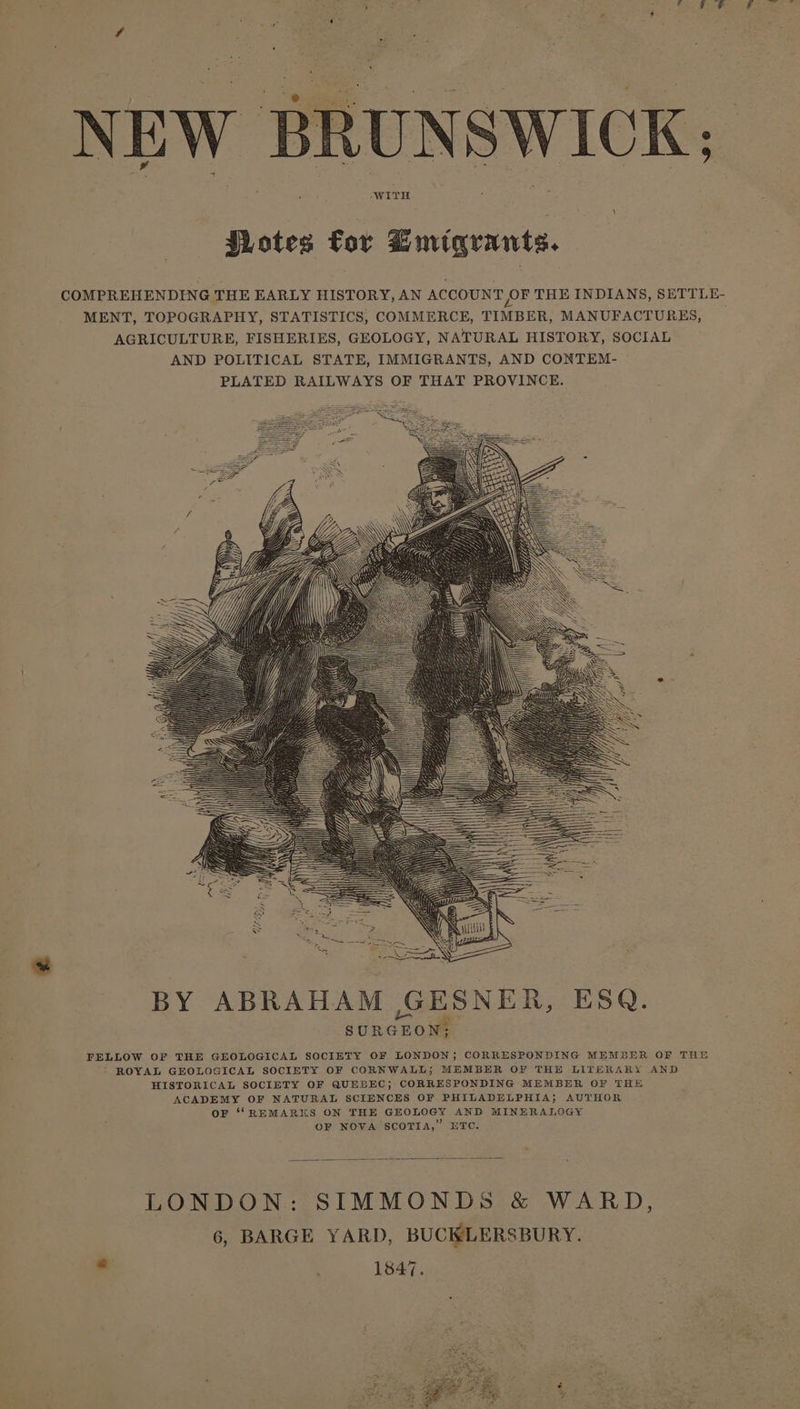 NEW BI JLotes for Emiavants. SUNSWICK: WITH COMPREHENDING THE EARLY HISTORY, AN ACCOUNT OF THE INDIANS, SETTLE- MENT, TOPOGRAPHY, STATISTICS, COMMERCE, TIMBER, MANUFACTURES, AGRICULTURE, FISHERIES, GEOLOGY, NATURAL HISTORY, SOCIAL AND POLITICAL STATE, IMMIGRANTS, AND CONTEM- BY ABRAHAM ,GESNER, ESQ. SURGEON: FELLOW OF THE GEOLOGICAL SOCIETY OF LONDON; CORRESPONDING MEMBER OF THE - ROYAL GEOLOGICAL SOCIETY OF CORNWALL; MEMBER OF THE LITERARY AND HISTORICAL SOCIETY OF QUEBEC; CORRESPONDING MEMBER OF THE ACADEMY OF NATURAL SCIENCES OF PHILADELPHIA; AUTHOR OF “REMARKS ON THE GEOLOGY AND MINERALOGY OF NOVA SCOTIA,” ETC. LONDON: SIMMONDs &amp; WARD, 6, BARGE YARD, BUCKLERSBURY. ss 1847.