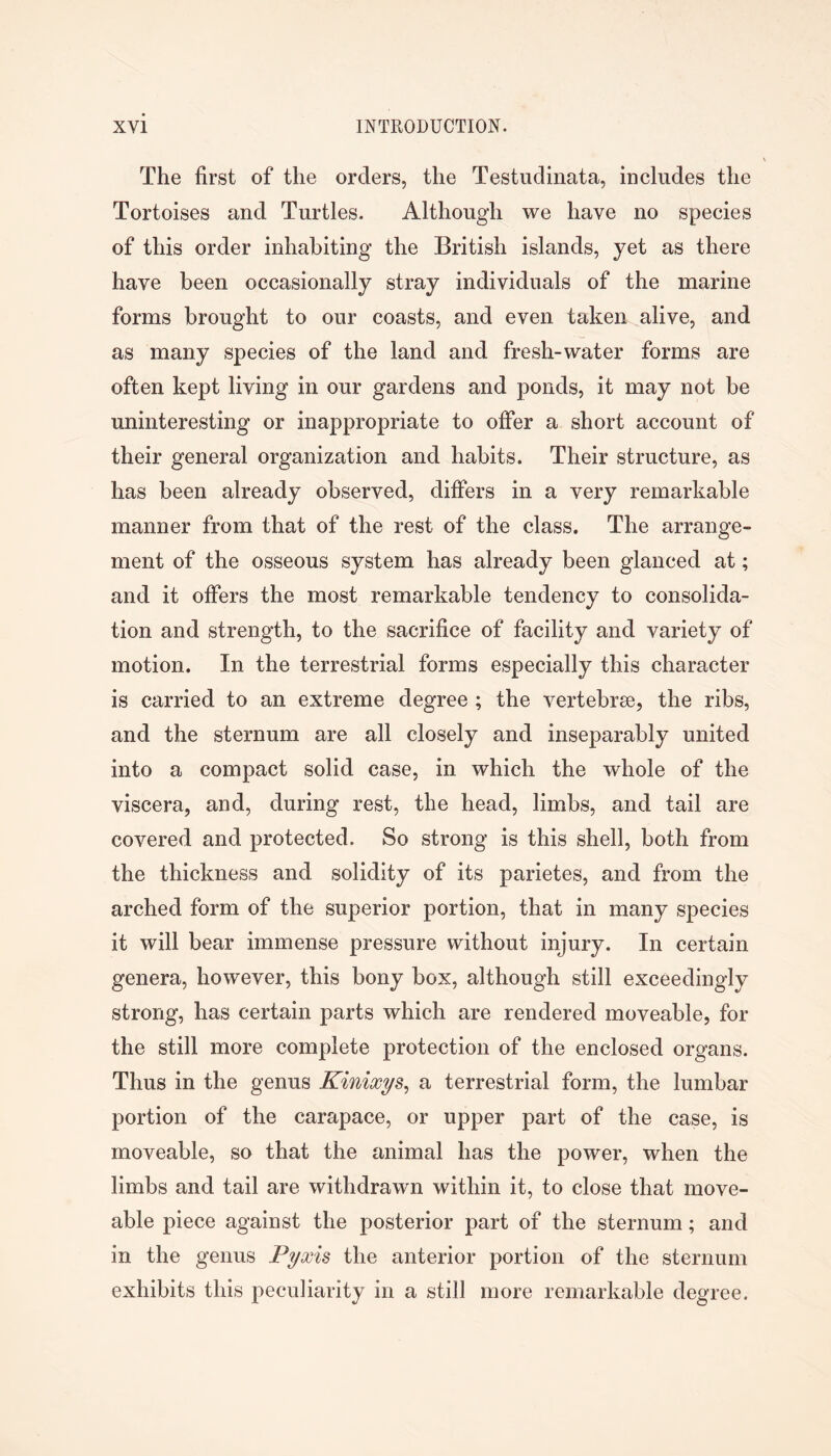 The first of the orders, the Testuclinata, includes the Tortoises and Turtles. Although we have no species of this order inhabiting the British islands, yet as there have been occasionally stray individuals of the marine forms brought to our coasts, and even taken alive, and as many species of the land and fresh-water forms are often kept living in our gardens and ponds, it may not be uninteresting or inappropriate to offer a short account of their general organization and habits. Their structure, as has been already observed, differs in a very remarkable manner from that of the rest of the class. The arrange- ment of the osseous system has already been glanced at; and it offers the most remarkable tendency to consolida- tion and strength, to the sacrifice of facility and variety of motion. In the terrestrial forms especially this character is carried to an extreme degree ; the vertebrse, the ribs, and the sternum are all closely and inseparably united into a compact solid case, in which the whole of the viscera, and, during rest, the head, limbs, and tail are covered and protected. So strong is this shell, both from the thickness and solidity of its parietes, and from the arched form of the superior portion, that in many species it will bear immense pressure without injury. In certain genera, however, this bony box, although still exceedingly strong, has certain parts which are rendered moveable, for the still more complete protection of the enclosed organs. Thus in the genus Kinixys^ a terrestrial form, the lumbar portion of the carapace, or upper part of the case, is moveable, so that the animal has the power, when the limbs and tail are withdrawn within it, to close that move- able piece against the posterior part of the sternum; and in the genus Pyxis the anterior portion of the sternum exhibits this peculiarity in a still more remarkable degree.