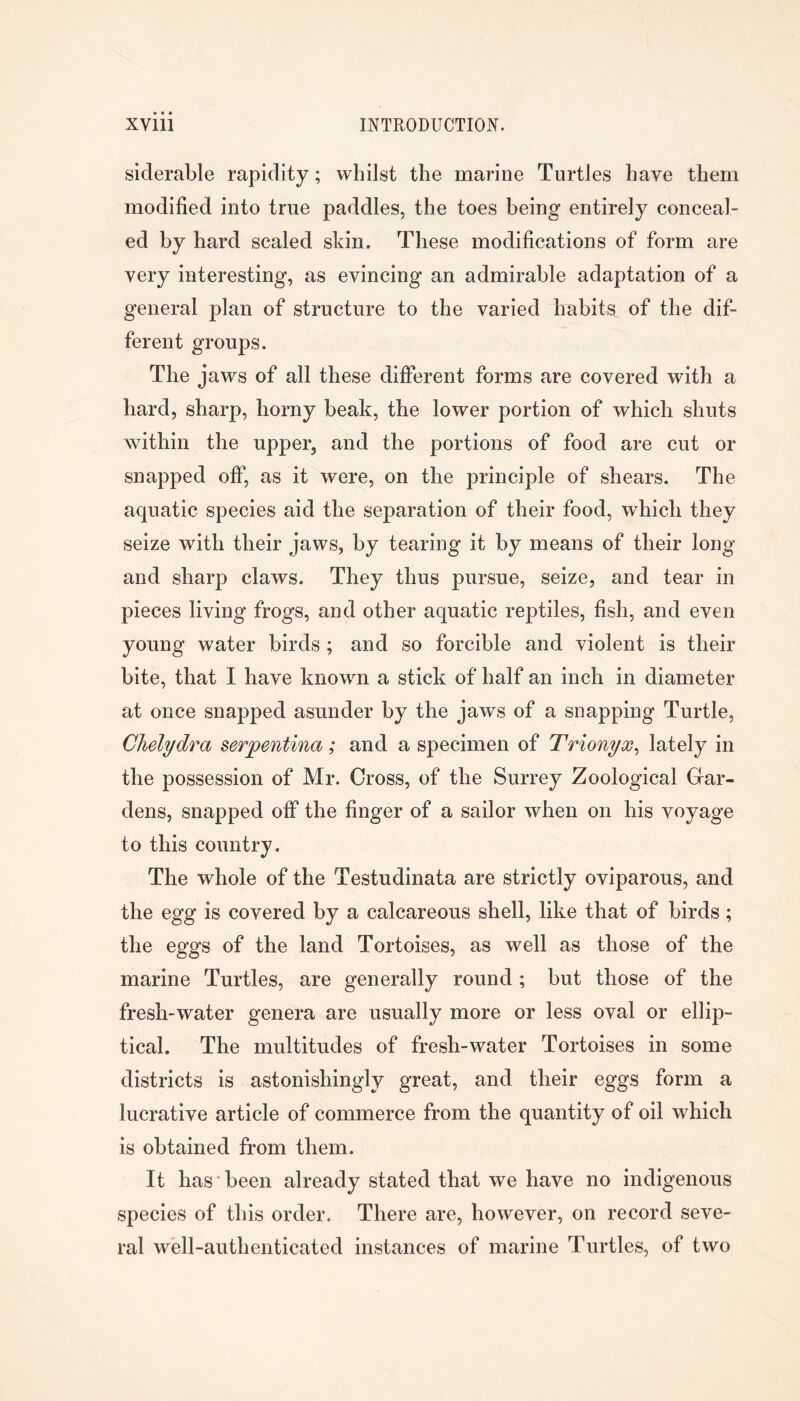 siderable rapidity; whilst the marine Turtles have them modified into true paddles, the toes being entirely conceal- ed by hard scaled skin. These modifications of form are very interesting, as evincing an admirable adaptation of a general plan of structure to the varied habits of the dif- ferent groups. The jaws of all these different forms are covered with a hard, sharp, horny beak, the lower portion of which shuts within the upper, and the portions of food are cut or snapped off, as it were, on the principle of shears. The aquatic species aid the separation of their food, which they seize with their jaws, by tearing it by means of their long and sharp claws. They thus pursue, seize, and tear in pieces living frogs, and other aquatic reptiles, fish, and even young water birds ; and so forcible and violent is their bite, that I have known a stick of half an inch in diameter at once snapped asunder by the jaws of a snapping Turtle, Clielydra serpentina; and a specimen of Trionyx^ lately in the possession of Mr. Cross, of the Surrey Zoological Gar- dens, snapped off the finger of a sailor when on his voyage to this country. The whole of the Testudinata are strictly oviparous, and the egg is covered by a calcareous shell, like that of birds; the eggs of the land Tortoises, as well as those of the marine Turtles, are generally round; but those of the fresh-water genera are usually more or less oval or ellip- tical. The multitudes of fresh-water Tortoises in some districts is astonishingly great, and their eggs form a lucrative article of commerce from the quantity of oil which is obtained from them. It has been already stated that we have no indigenous species of this order. There are, however, on record seve- ral well-authenticated instances of marine Turtles, of two