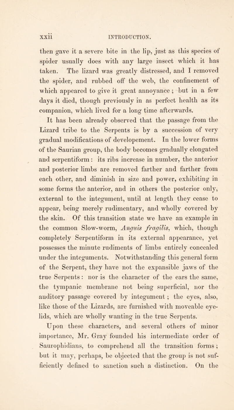 then gave it a severe bite in the lip, just as this species of spicier usually does with any large insect which it has taken. The lizard was greatly distressed, and I removed the spider, and rubbed off the web, the confinement of which appeared to give it great annoyance ; but in a few days it died, though previously in as perfect health as its companion, which lived for a long time afterwards. It has been already observed that the passage from the Lizard tribe to the Serpents is by a succession of very gradual modifications of developement. In the lower forms of the Saurian group, the body becomes gradually elongated and serpentiform: its ribs increase in number, the anterior and posterior limbs are removed farther and farther from each other, and diminish in size and power, exhibiting in some forms the anterior, and in others the posterior only, external to the integument, until at length they cease to appear, being merely rudimentary, and wholly covered by the skin. Of this transition state we have an example in the common Slow-worm, Anguis fragilis^ which, though completely Serpentiform in its external appearance, yet possesses the minute rudiments of limbs entirely concealed under the integuments. Notwithstanding this general form of the Serpent, they have not the expansible jaws of the true Serpents : nor is the character of the ears the same, the tympanic membrane not being superficial, nor the auditory passage covered by integument; the eyes, also, like those of the Lizards, are furnished with moveable eye- lids, which are wholly wanting in the true Serpents. Upon these characters, and several others of minor importance, Mr. Gray founded his intermediate order of Saurophidians, to comprehend all the transition forms; but it may, perhaps, be objected that the group is not suf- ficiently defined to sanction such a distinction. On the
