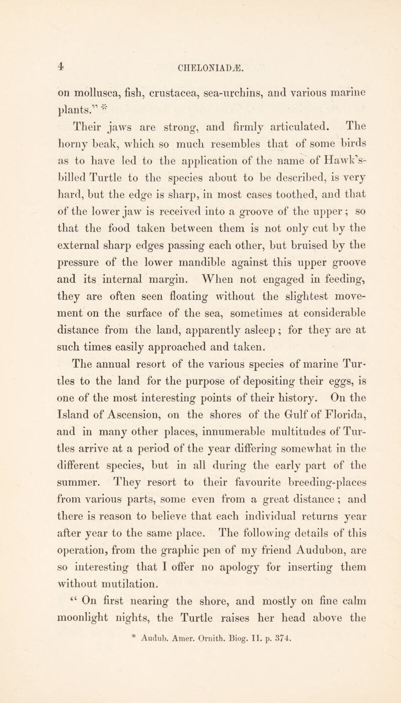 on mollusca, fish, crostacea, sea-urchins, and various marine plants.” Their jaws are strong, and firmly articulated. The horny beak, which so much resembles that of some birds as to have led to the application of the name of Hawk's- billed Turtle to the species about to be described, is very hard, but the edge is sharp, in most cases toothed, and that of the lower jaw is received into a groove of the upper; so that the food taken between them is not only cut by the external sharp edges passing each other, but bruised by the pressure of the lower mandible against this upper groove and its internal margin. When not engaged in feeding, they are often seen floating without the slightest move- ment on the surface of the sea, sometimes at considerable distance from the land, apparently asleep; for they are at such times easily approached and taken. The annual resort of the various species of marine Tur- ties to the land for the purpose of depositing their eggs, is one of the most interesting points of their history. On the Island of Ascension, on the shores of the Gulf of Florida, and in many other places, innumerable multitudes of Tur- tles arrive at a period of the year differing somewhat in the different species, but in all during the early part of the summer. They resort to their favourite breeding-places from various parts, some even from a great distance ; and there is reason to believe that each individual returns year after year to the same place. The following details of this operation, from the graphic pen of my friend Audubon, are so interesting that I offer no apology for inserting them without mutilation. “ On first nearing the shore, and mostly on fine calm moonlight nights, the Turtle raises her head above the