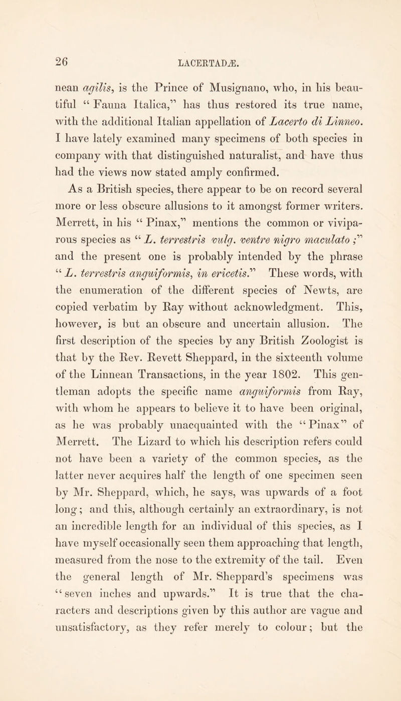 nean agilis, is the Prince of Musignano, who, in his beau- tiful “ Fauna Italica,” has thus restored its true name, with the additional Italian appellation of Lacerto di Linneo. I have lately examined many specimens of both species in company with that distinguished naturalist, and have thus had the views now stated amply confirmed. As a British species, there appear to be on record several more or less obscure allusions to it amongst former writers. Merrett, in his “ Pinax,” mentions the common or vivipa- rous species as “ L, terrestris vulg. mntre nigro maculato r and the present one is probably intended by the phrase “ L. terrestris anguiformis^ in ericetis^ These words, with the enumeration of the different species of Newts, are copied verbatim by Bay without acknowledgment. This, however, is but an obscure and uncertain allusion. The first description of the species by any British Zoologist is that by the Bev. Bevett Sheppard, in the sixteenth volume of the Linnean Transactions, in the year 1802. This gen- tleman adopts the specific name anguiformis from Bay, with whom he appears to believe it to have been original, as he was probably unacquainted with the “Pinax*” of Merrett. The Lizard to which his description refers could not have been a variety of the common species, as the latter never acquires half the length of one specimen seen by Mr. Sheppard, which, he says, was upwards of a foot long; and this, although certainly an extraordinary, is not an incredible length for an individual of this species, as I have myself occasionally seen them approaching that length, measured from the nose to the extremity of the tail. Even the general length of Mr. Sheppard’s specimens was “seven inches and upwards.” It is true that the cha- racters and descriptions given by this author are vague and unsatisfactory, as they refer merely to colour; but the