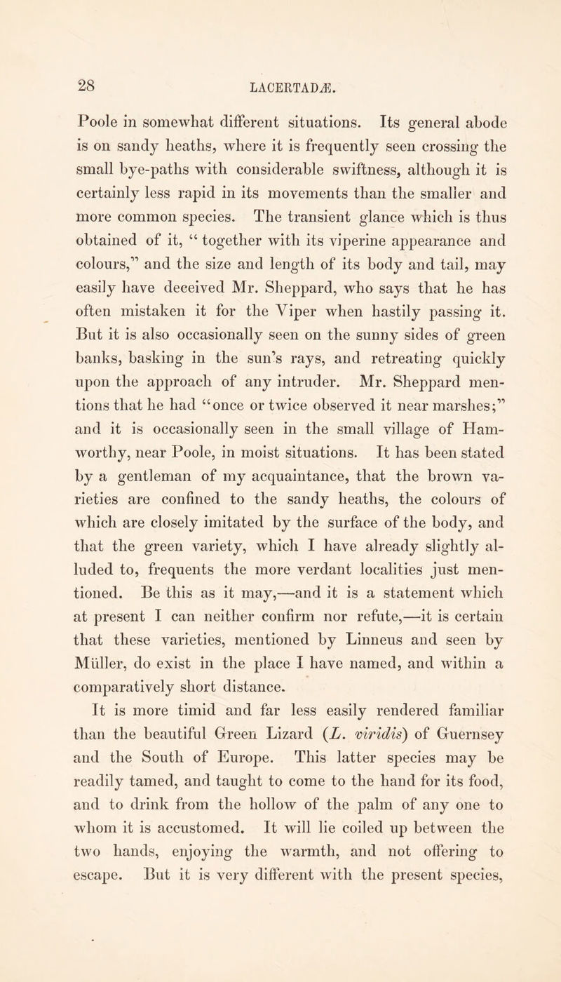 Poole in somewhat dilFerent situations. Its general abode is on sandy heaths, where it is frequently seen crossing the small bye-paths with considerable swiftness, although it is certainly less rapid in its movements than the smaller and more common species. The transient glance which is thus obtained of it, ‘‘ together with its viperine appearance and colours,” and the size and length of its body and tail, may easily have deceived Mr. Sheppard, who says that he has often mistaken it for the Viper when hastily passing it. But it is also occasionally seen on the sunny sides of green banks, basking in the sun’s rays, and retreating quickly upon the approach of any intruder. Mr. Sheppard men- tions that he had “once or twice observed it near marshes;” and it is occasionally seen in the small village of Ham- worthy, near Poole, in moist situations. It has been stated by a gentleman of my acquaintance, that the brown va- rieties are confined to the sandy heaths, the colours of which are closely imitated by the surface of the body, and that the green variety, which I have already slightly al- luded to, frequents the more verdant localities just men- tioned. Be this as it may,—and it is a statement which at present I can neither confirm nor refute,—it is certain that these varieties, mentioned by Linneus and seen by Muller, do exist in the place I have named, and within a comparatively short distance. It is more timid and far less easily rendered familiar than the beautiful Green Lizard {L. mridis) of Guernsey and the South of Europe. This latter species may be readily tamed, and taught to come to the hand for its food, and to drink from the hollow of the palm of any one to whom it is accustomed. It will lie coiled up between the two hands, enjoying the warmth, and not offering to escape. But it is very different with the present species.