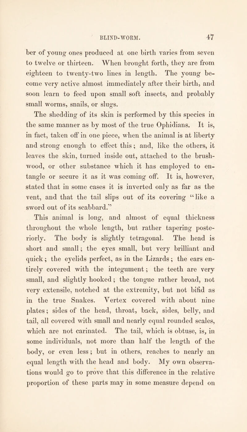 ber of young ones produced at one birth varies from seven to twelve or thirteen. When brought forth, they are from eighteen to twenty-two lines in length. The young be- come very active almost immediately after their birth, and soon learn to feed upon small soft insects, and probably small worms, snails, or slugs. The shedding of its skin is performed by this species in the same manner as by most of the true Ophidians. It is, in fact, taken off in one piece, when the animal is at liberty and strong enough to effect this; and, like the others, it leaves the skin, turned inside out, attached to the brush- wood, or other substance wdiich it has employed to en- tangle or secure it as it was coming off. It is, however, stated that in some cases it is inverted only as far as the vent, and that the tail slips out of its covering ‘‘like a sword out of its scabbard.” This animal is long, and almost of equal thickness throughout the whole length, but rather tapering poste- riorly. The body is slightly tetragonal. The head is short and small; the eyes small, but very brilliant and quick; the eyelids perfect, as in the Lizards; the ears en- tirely covered with the integument; the teeth are very small, and slightly hooked; the tongue rather broad, not very extensile, notched at the extremity, but not bifid as in the true Snakes. Vertex covered with about nine plates; sides of the head, throat, back, sides, belly, and tail, all covered with small and nearly equal rounded scales, which are not carinated. The tail, which is obtuse, is, in some individuals, not more than half the length of the body, or even less; but in others, reaches to nearly an equal length with the head and body. My own observa- tions would go to prove that this difference in the relative proportion of these parts may in some measure depend on