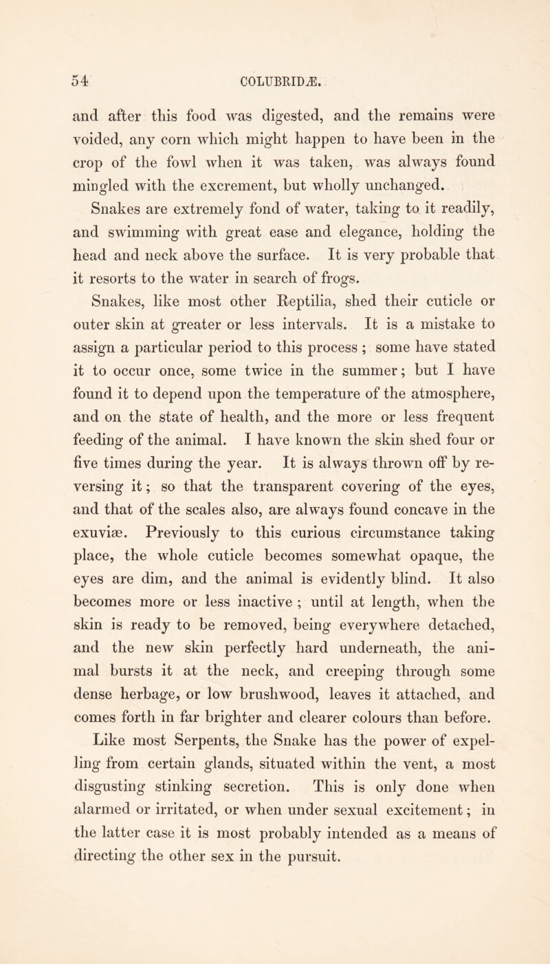 and after this food was digested, and the remains were voided, any corn which might happen to have been in the crop of the fowl when it was taken, was always found mingled with the excrement, but wholly unchanged. Snakes are extremely fond of water, taking to it readily, and swimming with great ease and elegance, holding the head and neck above the surface. It is very probable that it resorts to the water in search of frogs. Snakes, like most other Reptilia, shed their cuticle or outer skin at greater or less intervals. It is a mistake to assign a particular period to this process ; some have stated it to occur once, some twice in the summer; but I have found it to depend upon the temperature of the atmosphere, and on the state of health, and the more or less frequent feeding of the animal. I have known the skin shed four or five times during the year. It is always thrown off by re- versing it; so that the transparent covering of the eyes, and that of the scales also, are always found concave in the exuviae. Previously to this curious circumstance taking place, the whole cuticle becomes somewhat opaque, the eyes are dim, and the animal is evidently blind. It also becomes more or less inactive ; until at length, when the skin is ready to be removed, being everywhere detached, and the new skin perfectly hard underneath, the ani- mal bursts it at the neck, and creeping through some dense herbage, or low brushwood, leaves it attached, and comes forth in far brighter and clearer colours than before. Like most Serpents, the Snake has the power of expel- ling from certain glands, situated within the vent, a most disgusting stinking secretion. This is only done when alarmed or irritated, or when under sexual excitement; in the latter case it is most probably intended as a means of directing the other sex in the pursuit.