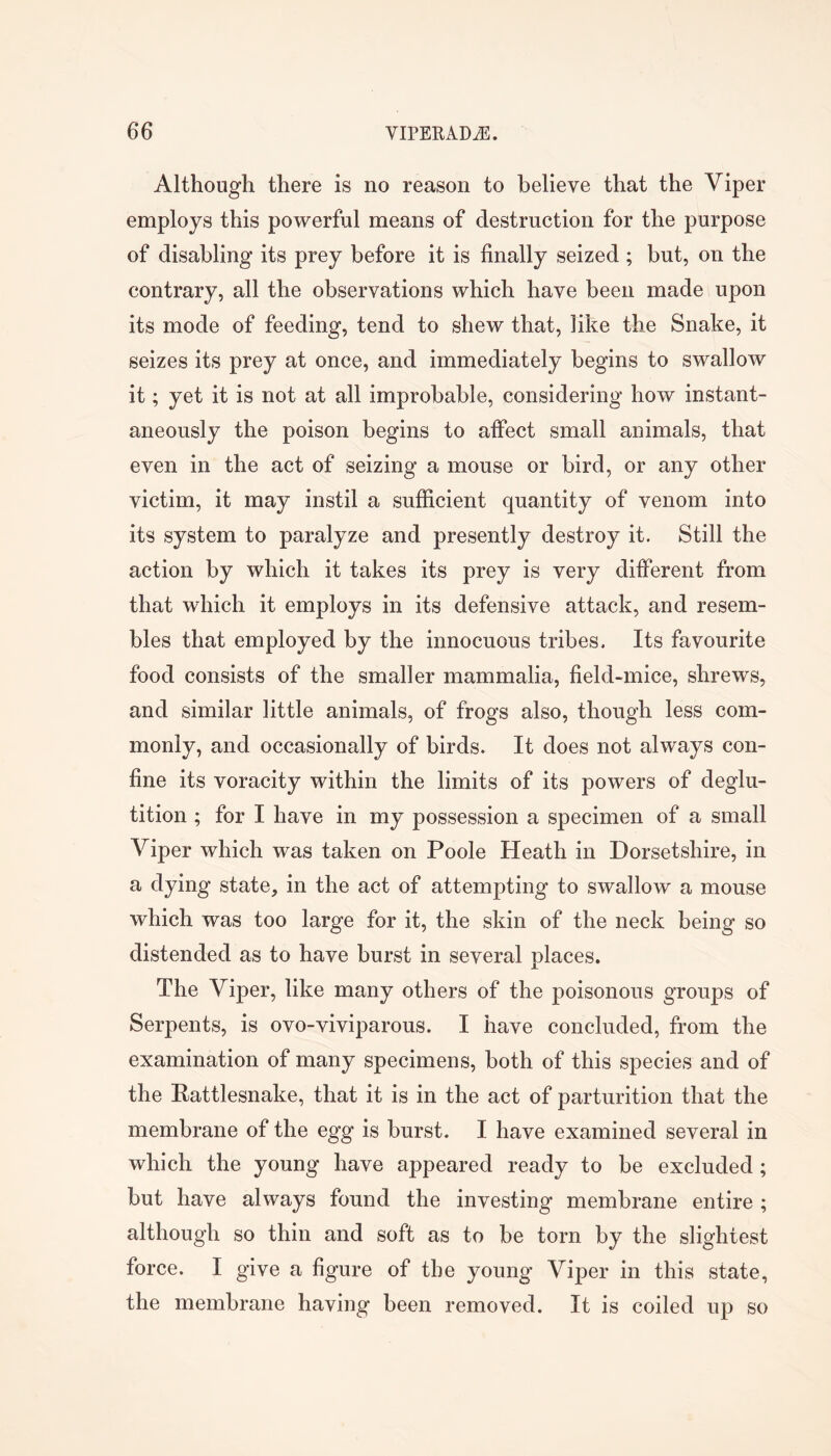 Although there is no reason to believe that the Viper employs this powerful means of destruction for the purpose of disabling its prey before it is finally seized ; but, on the contrary, all the observations which have been made upon its mode of feeding, tend to shew that, like the Snake, it seizes its prey at once, and immediately begins to swallow it; yet it is not at all improbable, considering how instant- aneously the poison begins to affect small animals, that even in the act of seizing a mouse or bird, or any other victim, it may instil a sufficient quantity of venom into its system to paralyze and presently destroy it. Still the action by which it takes its prey is very different from that which it employs in its defensive attack, and resem- bles that employed by the innocuous tribes. Its favourite food consists of the smaller mammalia, field-mice, shrews, and similar little animals, of frogs also, though less com- monly, and occasionally of birds. It does not always con- fine its voracity within the limits of its powers of deglu- tition ; for I have in my possession a specimen of a small Viper which was taken on Poole Heath in Dorsetshire, in a dying state, in the act of attempting to swallow a mouse which was too large for it, the skin of the neck being so distended as to have burst in several places. The Viper, like many others of the poisonous groups of Serpents, is ovo-viviparous. I have concluded, from the examination of many specimens, both of this species and of the Rattlesnake, that it is in the act of parturition that the membrane of the egg is burst. I have examined several in which the young have appeared ready to be excluded; but have always found the investing membrane entire ; although so thin and soft as to be torn by the slightest force. I give a figure of the young Viper in this state, the membrane having been removed. It is coiled up so