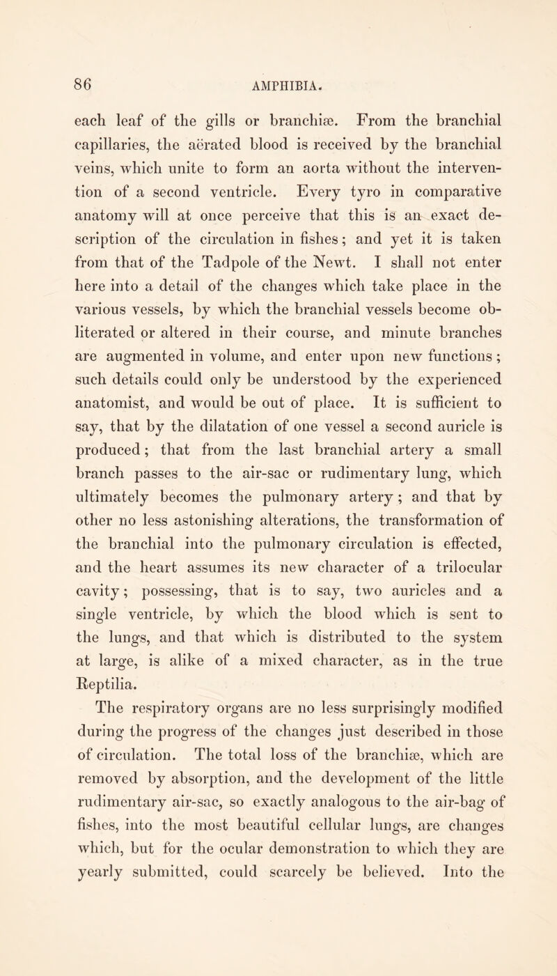 each leaf of the gills or branchiae. From the branchial capillaries, the aerated blood is received by the branchial veins, which unite to form an aorta without the interven- tion of a second ventricle. Every tyro in comparative anatomy will at once perceive that this is an exact de- scription of the circulation in fishes; and yet it is taken from that of the Tadpole of the Newt. I shall not enter here into a detail of the changes which take place in the various vessels, by which the branchial vessels become ob- literated or altered in their course, and minute branches are augmented in volume, and enter upon new functions; such details could only be understood by the experienced anatomist, and would be out of place. It is sufficient to say, that by the dilatation of one vessel a second auricle is produced; that from the last branchial artery a small branch passes to the air-sac or rudimentary lung, which ultimately becomes the pulmonary artery ; and that by other no less astonishing alterations, the transformation of the branchial into the pulmonary circulation is effected, and the heart assumes its new character of a trilocular cavity; possessing, that is to say, two auricles and a single ventricle, by which the blood which is sent to the lungs, and that which is distributed to the system at large, is alike of a mixed character, as in the true Reptilia. The respiratory organs are no less surprisingly modified during the progress of the changes just described in those of circulation. The total loss of the branchise, which are removed by absorption, and the development of the little rudimentary air-sac, so exactly analogous to the air-bag of fishes, into the most beautiful cellular lungs, are changes which, but for the ocular demonstration to which they are yearly submitted, could scarcely be believed. Into the