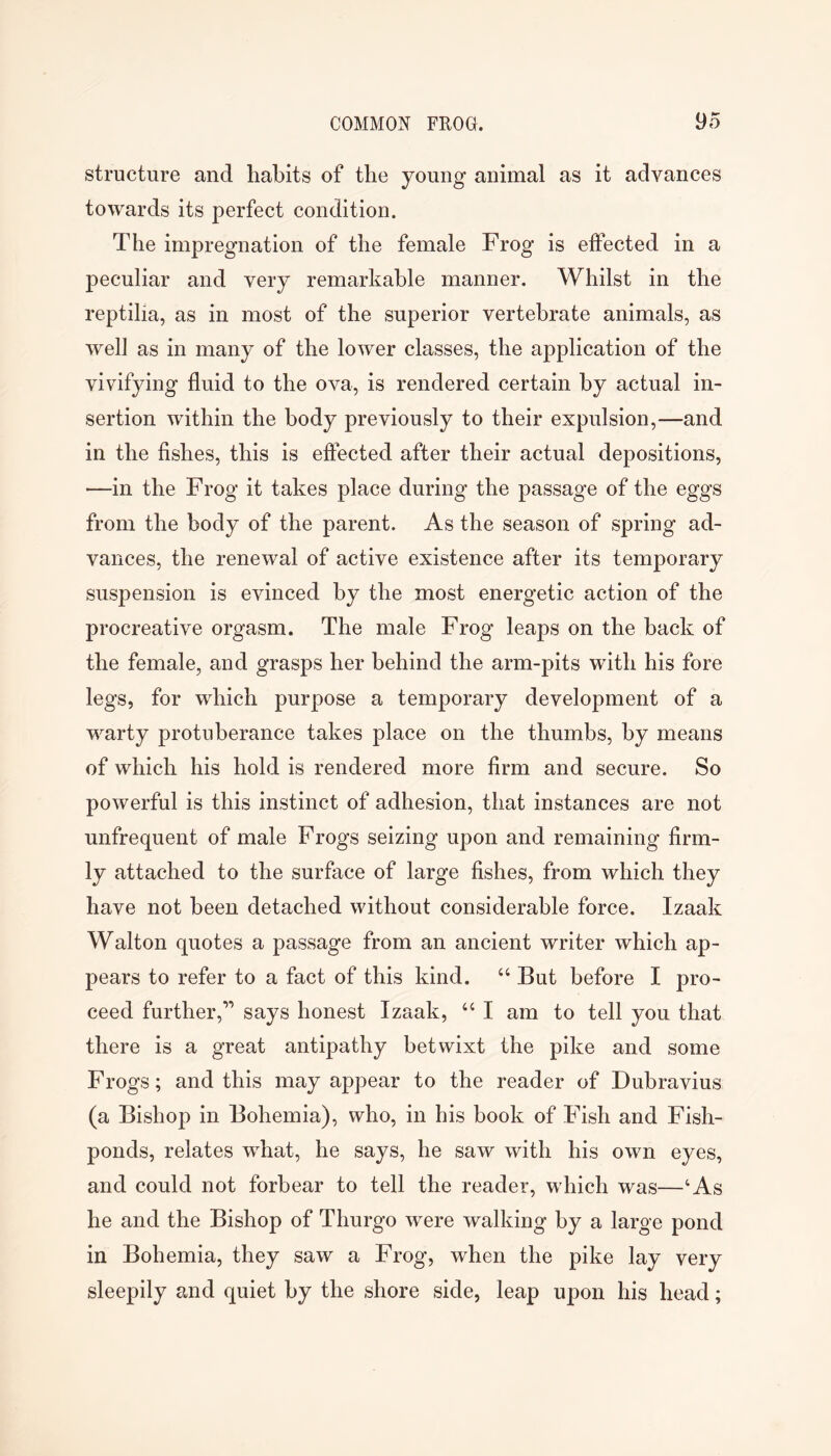 structure and habits of the young animal as it advances towards its perfect condition. The impregnation of the female Frog is effected in a peculiar and very remarkable manner. Whilst in the reptilia, as in most of the superior vertebrate animals, as well as in many of the lower classes, the application of the vivifying fluid to the ova, is rendered certain by actual in- sertion within the body previously to their expulsion,—and in the fishes, this is effected after their actual depositions, —in the Frog it takes place during the passage of the eggs from the body of the parent. As the season of spring ad- vances, the renewal of active existence after its temporary suspension is evinced by the most energetic action of the procreative orgasm. The male Frog leaps on the back of the female, and grasps her behind the arm-pits with his fore legs, for which purpose a temporary development of a warty protuberance takes place on the thumbs, by means of which his hold is rendered more firm and secure. So powerful is this instinct of adhesion, that instances are not unfrequent of male Frogs seizing upon and remaining firm- ly attached to the surface of large fishes, from which they have not been detached without considerable force. Izaak Walton quotes a passage from an ancient writer which ap- pears to refer to a fact of this kind. “ But before I pro- ceed further,” says honest Izaak, “ I am to tell you that there is a great antipathy betwixt the pike and some Frogs; and this may appear to the reader of Dubravius (a Bishop in Bohemia), who, in his book of Fish and Fish- ponds, relates what, he says, he saw with his own eyes, and could not forbear to tell the reader, which was—‘As he and the Bishop of Thurgo were walking by a large pond in Bohemia, they saw a Frog, when the pike lay very sleepily and quiet by the shore side, leap upon his head;