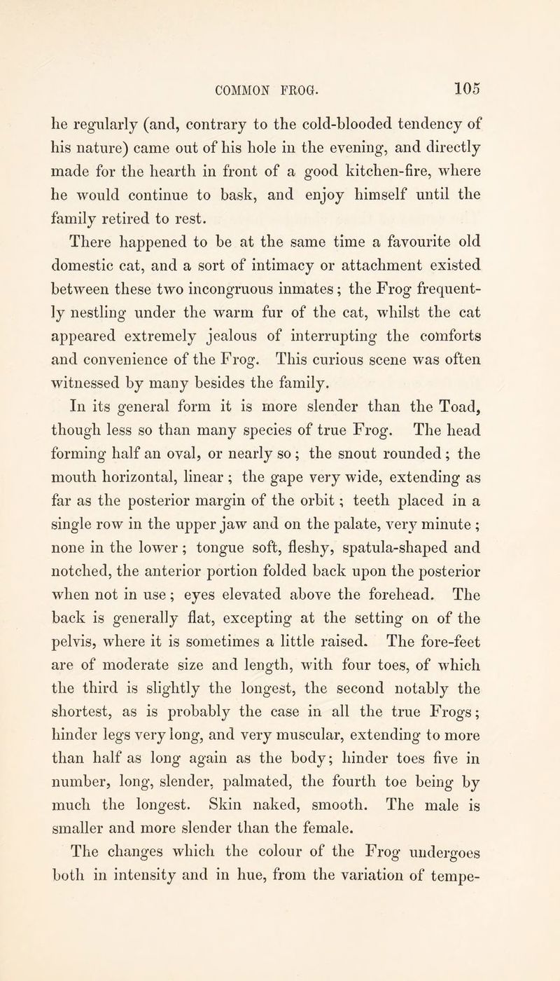 he regularly (and, contrary to the cold-blooded tendency of his nature) came out of his hole in the evening, and directly made for the hearth in front of a good kitchen-fire, where he would continue to bask, and enjoy himself until the family retired to rest. There happened to be at the same time a favourite old domestic cat, and a sort of intimacy or attachment existed between these two incongruous inmates; the Frog frequent- ly nestling under the warm fur of the cat, whilst the cat appeared extremely jealous of interrupting the comforts and convenience of the Frog. This curious scene was often witnessed by many besides the family. In its general form it is more slender than the Toad, though less so than many species of true Frog. The head forming half an oval, or nearly so ; the snout rounded ; the mouth horizontal, linear ; the gape very wide, extending as far as the posterior margin of the orbit; teeth placed in a single row in the upper jaw and on the palate, very minute ; none in the lower; tongue soft, fleshy, spatula-shaped and notched, the anterior portion folded back upon the posterior when not in use; eyes elevated above the forehead. The back is generally flat, excepting at the setting on of the pelvis, where it is sometimes a little raised. The fore-feet are of moderate size and length, with four toes, of which the third is slightly the longest, the second notably the shortest, as is probably the case in all the true Frogs; hinder legs very long, and very muscular, extending to more than half as long again as the body; hinder toes five in number, long, slender, palmated, the fourth toe being by much the longest. Skin naked, smooth. The male is smaller and more slender than the female. The changes which the colour of the Frog undergoes both in intensity and in hue, from the variation of tempe-