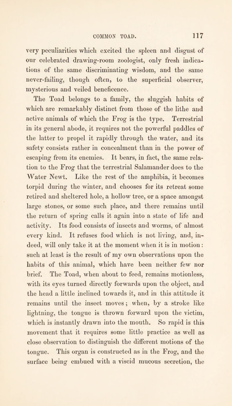 very peculiarities wliicli excited the spleen and disgust of our celebrated drawing-room zoologist, only fresh indica- tions of the same discriminating wisdom, and the same never-failing, though often, to the superficial observer, mysterious and veiled beneficence. The Toad belongs to a family, the sluggish habits of which are remarkably distinct from those of the lithe and active animals of which the Frog is the type. Terrestrial in its general abode, it requires not the powerful paddles of the latter to propel it rapidly through the water, and its safety consists rather in concealment than in the power of escaping from its enemies. It bears, in fact, the same rela- tion to the Frog that the terrestrial Salamander does to the Water Newt. Like the rest of the amphibia, it becomes torpid during the winter, and chooses for its retreat some retired and sheltered hole, a hollow tree, or a space amongst large stones, or some such place, and there remains until the return of sj)ring calls it again into a state of life and activity. Its food consists of insects and worms, of almost every kind. It refuses food which is not living, and, in- deed, will only take it at the moment when it is in motion: such at least is the result of my own observations upon the habits of this animal, which have been neither few nor brief. The Toad, when about to feed, remains motionless, with its eyes turned directly forwards upon the object, and the head a little inclined towards it, and in this attitude it remains until the insect moves; when, by a stroke like lightning, the tongue is thrown forward upon the victim, which is instantly drawn into the mouth. So rapid is this movement that it requires some little practice as well as close observation to distinguish the different motions of the tongue. This organ is constructed as in the Frog, and the surface being embued with a viscid mucous secretion, the