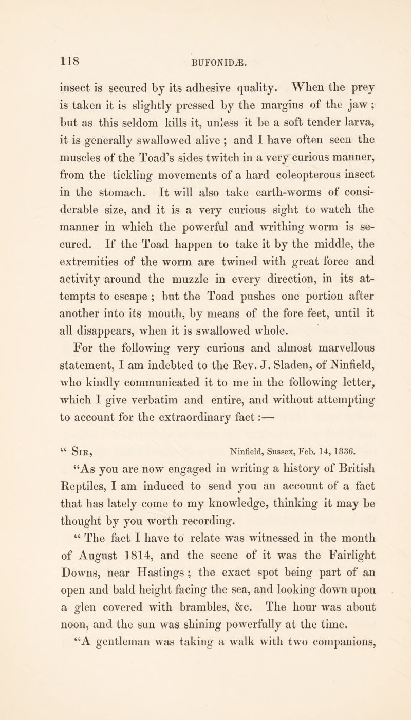 insect is secured by its adhesive quality. When the prey is taken it is slightly pressed by the margins of the jaw; but as this seldom kills it, unless it be a soft tender larva, it is generally swallowed alive ; and I have often seen the muscles of the Toad’s sides twitch in a very curious manner, from the tickling movements of a hard coleopterous insect in the stomach. It will also take earth-worms of consi- derable size, and it is a very curious sight to watch the manner in which the powerful and writhing worm is se- cured. If the Toad happen to take it by the middle, the extremities of the worm are twined with great force and activity around the muzzle in every direction, in its at- tempts to escape ; but the Toad pushes one portion after another into its mouth, by means of the fore feet, until it all disappears, when it is swallowed whole. For the following very curious and almost marvellous statement, I am indebted to the Fev. J. Sladen, of Ninfield, who kindly communicated it to me in the following letter, which I give verbatim and entire, and without attempting to account for the extraordinary fact:— “ Sir, Ninfield, Sussex, Feb. 14, 1836. “As you are now engaged in writing a history of British Eeptiles, I am induced to send you an account of a fact that has lately come to my knowledge, thinking it may be thought by you worth recording. “ The fact I have to relate was witnessed in the month of August 1814, and the scene of it was the Fairlight Downs, near Hastings ; the exact spot being part of an open and bald height facing the sea, and looking down upon a glen covered with brambles, &c. The hour was about noon, and the sun was shining powerfully at the time. “A gentleman was taking a walk with two companions,