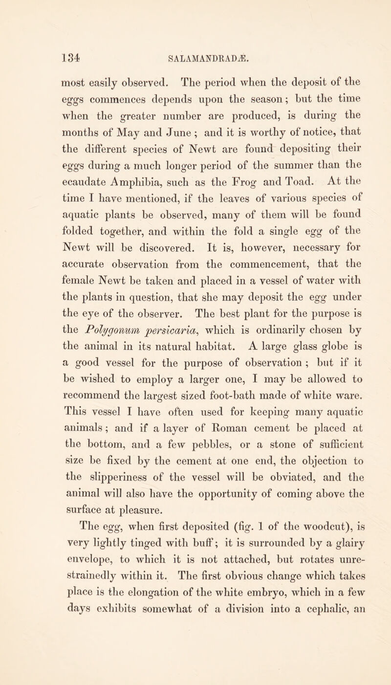 most easily observed. The period when the deposit of the eggs commences depends upon the season; but the time when the greater number are produced, is during the months of May and June ; and it is worthy of notice, that the different species of Newt are found depositing their eggs during a much longer period of the summer than the ecaudate Amphibia, such as the Frog and Toad. At the time I have mentioned, if the leaves of various species of aquatic plants be observed, many of them will be found folded together, and within the fold a single egg of the Newt will be discovered. It is, however, necessary for accurate observation from the commencement, that the female Newt be taken and placed in a vessel of water with the plants in question, that she may deposit the egg under the eye of the observer. The best plant for the purpose is the Polygonum persicaria^ which is ordinarily chosen by the animal in its natural habitat. A large glass globe is a good vessel for the purpose of observation ; but if it be wished to employ a larger one, I may be allowed to recommend the largest sized foot-bath made of white ware. O This vessel I have often used for keeping many aquatic animals; and if a layer of Roman cement be placed at the bottom, and a few pebbles, or a stone of sufficient size be fixed by the cement at one end, the objection to the slipperiness of the vessel will be obviated, and the animal will also have the opportunity of coming above the surface at pleasure. The egg, when first deposited (fig. 1 of the woodcut), is very lightly tinged with buff; it is surrounded by a glairy envelope, to which it is not attached, but rotates unre- strainedly within it. The first obvious change which takes place is the elongation of the white embryo, which in a few days exhibits somewhat of a division into a cephalic, an