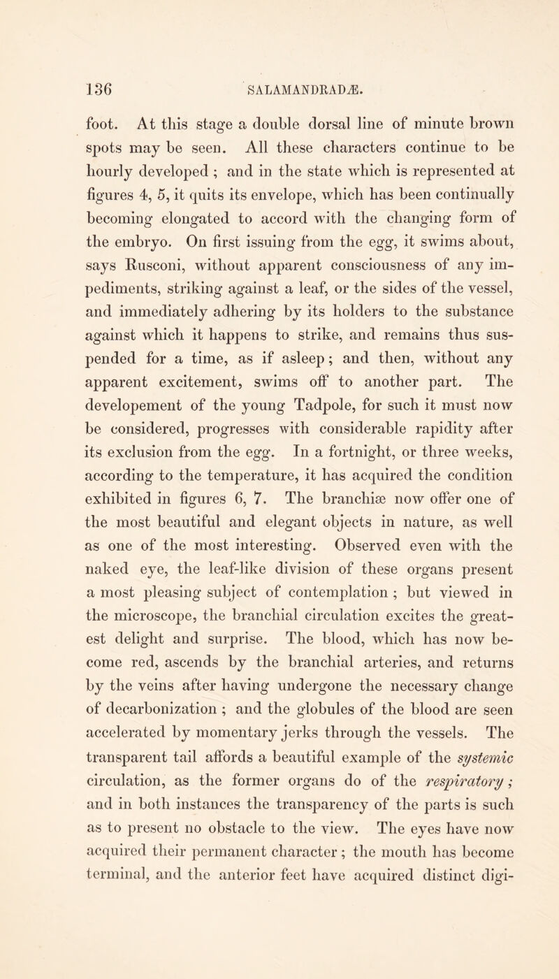 foot. At tins stage a double dorsal line of minute brown spots may be seen. All these characters continue to be hourly developed ; and in the state which is represented at figures 4, 5, it quits its envelope, which has been continually becoming elongated to accord with the changing form of the embryo. On first issuing from the egg, it swims about, says Rusconi, without apparent consciousness of any im- pediments, striking against a leaf, or the sides of the vessel, and immediately adhering by its holders to the substance against which it happens to strike, and remains thus sus- pended for a time, as if asleep; and then, without any apparent excitement, swims off to another part. The developement of the young Tadpole, for such it must now be considered, progresses with considerable rapidity after its exclusion from the egg. In a fortnight, or three weeks, according to the temperature, it has acquired the condition exhibited in figures 6, 7. The branchise now offer one of the most beautiful and elegant objects in nature, as well as one of the most interesting. Observed even with the naked eye, the leaf-like division of these organs present a most pleasing subject of contemplation ; but viewed in the microscope, the branchial circulation excites the great- est delight and surprise. The blood, which has now be- come red, ascends by the branchial arteries, and returns by the veins after having undergone the necessary change of decarbonization ; and the globules of the blood are seen accelerated by momentary jerks through the vessels. The transparent tail affords a beautiful example of the systemic circulation, as the former organs do of the respiratory; and in both instances the transparency of the parts is such as to present no obstacle to the view. The eyes have now acquired their permanent character; the mouth has become terminal, and the anterior feet have acquired distinct digi-