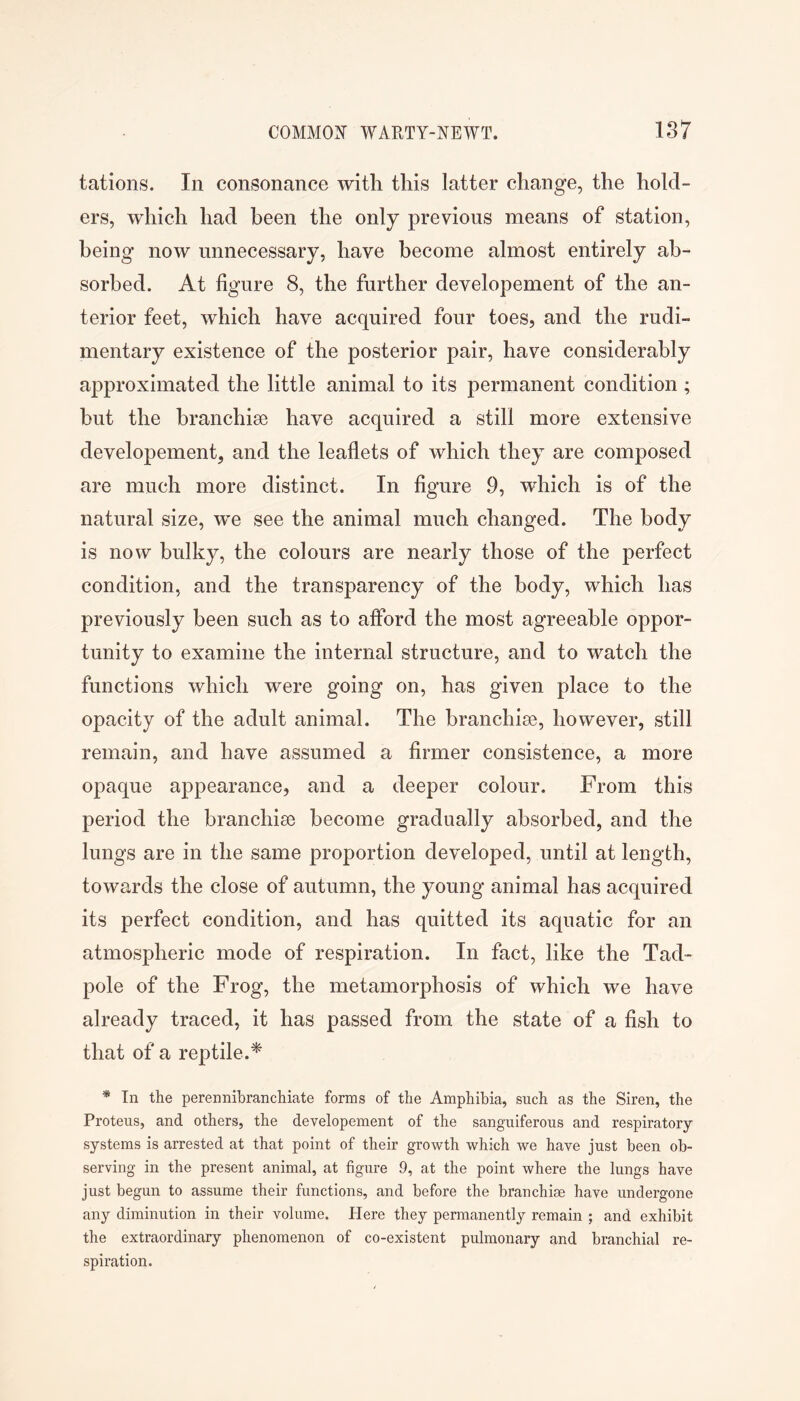 tations. In consonance with this latter change, the hold- ers, which had been the only previous means of station, being now unnecessary, have become almost entirely ab- sorbed. At figure 8, the further developement of the an- terior feet, which have acquired four toes, and the rudi- mentary existence of the posterior pair, have considerably approximated the little animal to its permanent condition ; but the branchiae have acquired a still more extensive developement, and the leaflets of which they are composed are much more distinct. In figure 9, which is of the natural size, we see the animal much changed. The body is now bulky, the colours are nearly those of the perfect condition, and the transparency of the body, which has previously been such as to afford the most agreeable oppor- tunity to examine the internal structure, and to watch the functions which were going on, has given place to the opacity of the adult animal. The branchiae, however, still remain, and have assumed a firmer consistence, a more opaque appearance, and a deeper colour. From this period the branchiae become gradually absorbed, and the lungs are in the same proportion developed, until at length, towards the close of autumn, the young animal has acquired its perfect condition, and has quitted its aquatic for an atmospheric mode of respiration. In fact, like the Tad- pole of the Frog, the metamorphosis of which we have already traced, it has passed from the state of a fish to that of a reptile.* * In the perennibranchiate forms of the Amphibia, such as the Siren, the Proteus, and others, the developement of the sanguiferous and respiratory- systems is arrested at that point of their growth which we have just been ob- serving in the present animal, at figure 9, at the point where the lungs have just begun to assume their functions, and before the branchiae have undergone any diminution in their volume. Here they permanently remain ; and exhibit the extraordinary phenomenon of co-existent pulmonary and branchial re- spiration.