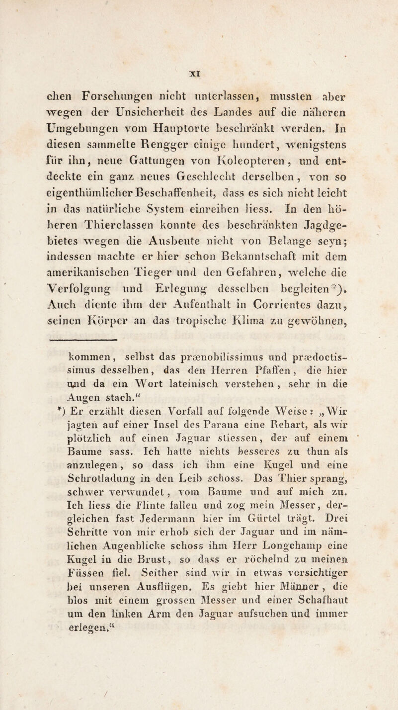 dien Forschungen nicht unterlassen, mussten nhcr wegen der Unsicherheit des Landes auf die näheren Umgebungen vom Hauptorte beschränkt werden. In diesen sammelte Rengger einige hundert, wenigstens fiir ihn, neue Gattungen von Koleopteren, und ent¬ deckte ein ganz neues Geschlecht derselben , von so eigenthiimlicher Beschaffenheit, dass es sich nicht leicht in das natürliche System einreihen Hess. In den hö¬ heren Thierclassen konnte des beschränkten Jagdge¬ bietes wegen die Ausbeute nicht von Belange seyn; indessen machte er hier schon Bekanntschaft mit dem amerikanischen Tieger und den Gefahren, welche die Verfolgung und Erlegung desselben begleiten). Auch diente ihm der Aufenthalt in Corrientes dazu, seinen Körper an das tropische Klima zu gewöhnen, kommen, seihst das prænobilissimus und prædoctis- simus desselben, das den Herren Pfaffen, die hier und da ein Wort lateinisch verstehen , sehr in die Augen stach.“ *) Er erzählt diesen Vorfall auf folgende Weise: „Wir jagten auf einer Insel des Parana eine Rehart, als wir plötzlich auf einen Jaguar sliessen, der auf einem Baume sass. Ich hatte nichts besseres zu thun als anzulegen, so dass ich ihm eine Kugel und eine Schrotladung in den Leib schoss. Das Thier sprang, schwer verwundet, vom Baume und auf mich zu. Ich liess die Flinte fallen und zog mein Messer, der¬ gleichen fast Jedermann hier im Gürtel trägt. Drei Schritte von mir erhob sich der Jaguar und im näm¬ lichen Augenblicke schoss ihm Herr Longchamp eine Kugel in die Brust, so dass er röchelnd zu meinen Füssen fiel. Seither sind wir in etwas vorsichtiger bei unseren Ausflügen. Es giebt hier Männer , die blos mit einem grossen Messer und einer Schafhaut um den linken Arm den Jaguar aufsuchen und immer erlegen.“