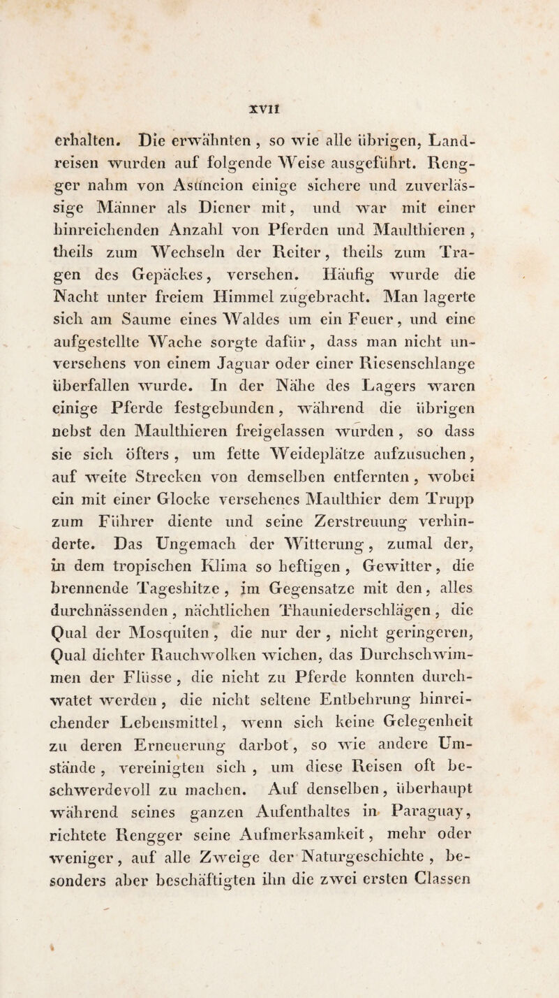 ïVlt erhalten. Die erwähnten , so wie alle übrigen, Land- reisen wurden auf folgende Weise ausgeführt. Reng- ger nahm von Asuncion einige sichere und zuverläs¬ sige Männer als Diener mit, und war mit einer hinreichenden Anzahl von Pferden und Maulthieren , theils zum Wechseln der Reiter, theils zum Tra¬ gen des Gepäckes, versehen. Häufig wurde die Nacht unter freiem Himmel zugebracht. Man lagerte sich am Saume eines Waldes um ein Feuer, und eine aufgestellte Wache sorgte dafür, dass man nicht un¬ versehens von einem Jaguar oder einer Riesenschlange überfallen wurde. In der Nähe des Lagers waren einige Pferde festgebunden, während die übrigen nebst den Maulthieren freigelassen wurden , so dass sie sich öfters, um fette Weideplätze aufzusuchen, auf weite Strecken von demselben entfernten , wobei ein mit einer Glocke versehenes Maulthier dem Trupp zum Führer diente und seine Zerstreuung verhin¬ derte. Das Ungemach der Witterung, zumal der, in dem tropischen Klima so heftigen , Gewitter, die brennende Tageshitze , im Gegensätze mit den, alles durchnässenden , nächtlichen Thauniederschlägen , die Qual der Mosquiten, die nur der , nicht geringeren, Qual dichter Rauchwolken wichen, das Durchschwim¬ men der Flüsse , die nicht zu Pferde konnten durch¬ watet werden , die nicht seltene Entbehrung hinrei¬ chender Lebensmittel, wenn sich keine Gelegenheit zu deren Erneuerung darbot, so wie andere Um¬ stände , vereinigten sich , um diese Reisen oft be- schwerdevoll zu machen. Auf denselben, überhaupt während seines ganzen Aufenthaltes in Paraguay, richtete Rengger seine Aufmerksamkeit, mehr oder weniger, auf alle Zweige der Naturgeschichte , be¬ sonders aber beschäftigten ihn die zwei ersten Classen %