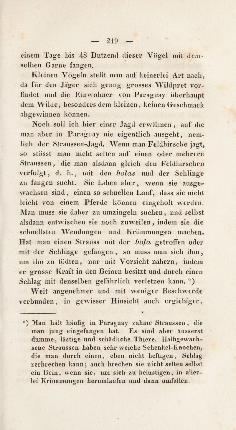einem Tage bis 48 Dutzend dieser Vögel mit dem¬ selben Garne fangen. Kleinen Vögeln stellt man auf keinerlei Art nach, da für den Jager sich genug grosses Wildpret vor¬ findet und die Einwohner von Paraguay überhaupt dem Wilde, besonders dem kleinen, keinen Geschmack abgewinnen können. Noch soll ich hier einer Jagd erwähnen , auf die man aber in Paraguay nie eigentlich ausgeht, nein- lich der Straussen-Jagd. Wenn man Feldhirsche jagt, so stösst man nicht seilen auf einen oder mehrere Straussen, die man alsdann gleich den Feldhirschen verfolgt, d. Ii., mit den bolas und der Schlinge zu fangen sucht. Sie haben aber, wenn sie ausge¬ wachsen sind, einen so schnellen Lauf, dass sie nicht leicht von einem Pferde können eingeholt werden. Man muss sie daher zu umzingeln suchen, nnd selbst alsdann entwischen sie noch zuweilen, indem sie die schnellsten Wendungen und Krümmungen machen« Hat man einen Strauss mit der bola getroffen oder mit der Schlinge gefangen , so muss man sich ihm 3 um ihn zu tödten, nur mit Vorsicht nähern, indem er grosse Kraft in den Beinen besitzt und durch einen Schlag mit denselben gefährlich verletzen kann, *) Weit angenehmer und mit weniger Beschwerde verbunden, in gewisser Hinsicht auch ergiebiger. *) Man hält häufig in Paraguay zahme Straussen, die man jung eingefangen hat. Es sind aber äusserst dumme, lästige und schädliche Thiere. Halbgewach¬ sene Straussen haben sehr weiche Schenkel-Knochen* die man durch einen, eben nicht heftigen, Schlag zerbrechen kann; auch brechen sie nicht selten selbst ein Bein, wenn sie, um sich zu belustigen, in aller-» lei Krümmungen herumlaufen und dann umfallen.