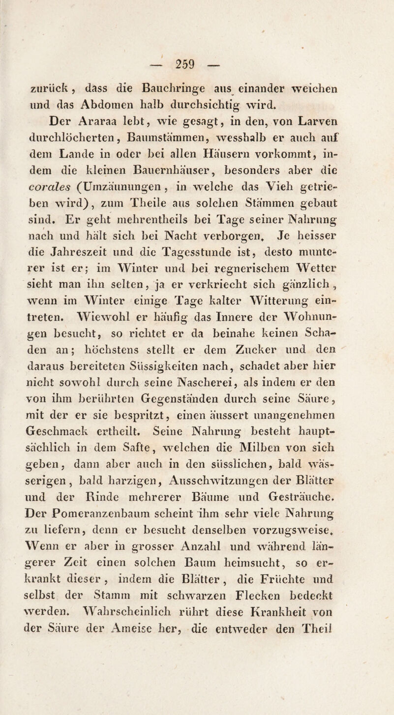 zurück, dass die Bauchringe aus einander weichen und das Abdomen halb durchsichtig wird» Der Araraa lebt, wie gesagt, in den, von Larven durchlöcherten, Baumstammen, wesshalb er auch auf dem Lande in oder bei allen Hausern vorkommt, in¬ dem die kleinen Bauernhauser, besonders aber die corales (Umzäunungen , in welche das Vieh getrie¬ ben wird), zum Theile aus solchen Stämmen gebaut sind. Er geht mehrentheils bei Tage seiner Nahrung t nach und hält sich bei Nacht verborgen. Je heisser die Jahreszeit und die Tagesstunde ist, desto munte¬ rer ist er; im Winter und bei regnerischem Wetter sieht man ihn selten, ja er verkriecht sich gänzlich, wenn im Winter einige Tage kalter Witterung ein- treten. Wiewohl er häufig das Innere der Wohnun¬ gen besucht, so richtet er da beinahe keinen Scha¬ den an ; höchstens stellt er dem Zucker und den daraus bereiteten Süssigkeiten nach, schadet aber hier nicht sowohl durch seine Nascherei, als indem er den von ihm berührten Gegenständen durch seine Säure, mit der er sie bespritzt, einen äussert unangenehmen Geschmack ertheilt. Seine Nahrung besteht haupt¬ sächlich in dem Safte, welchen die Milben von sich geben, dann aber auch in den süsslichen, bald wäs¬ serigen, bald harzigen, Ausschwitzungen der Blätter und der Rinde mehrerer Bäume und Gesträuche. Der Pomeranzenbaum scheint ihm sehr viele Nahrung zu liefern, denn er besucht denselben vorzugsweise. Wenn er aber in grosser Anzahl und während län¬ gerer Zeit einen solchen Baum heimsucht, so er¬ krankt dieser , indem die Blätter , die Früchte und selbst der Stamm mit schwarzen Flecken bedeckt werden. Wahrscheinlich rührt diese Krankheit von der Säure der Ameise her, die entweder den Theil