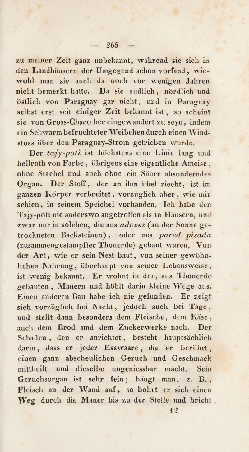 zu meiner Zeit ganz unbekannt, während sie sich in den Landhäusern der Umgegend schon vorfand, wie¬ wohl man sie auch da noch vor wenigen Jahren nicht bemerkt hatte. Da sie südlich, nördlich und östlich von Paraguay gar nicht, und in Paraguay selbst erst seit einiger Zeit bekannt ist, so scheint sie von Gross-Chaco her eingewandert zu seyn, indem ein Schwarm befruchteter Weibchen durch einen Wind- stoss Uber den Paraguay-Strom getrieben wurde. Der tajy-poti ist höchstens eine Linie lang und hellroth von Farbe , übrigens eine eigentliche Ameise , ohne Stachel und auch ohne ein Säure absonderndes Organ. Der Stoff, der an ihm übel riecht, ist im ganzen Körper verbreitet, vorzüglich aber, wie mir schien , in seinem Speichel vorhanden. Ich habe den Tajy-poti nie anderswo angetroffen als in Häusern, und zwar nur in solchen, die aus adoves (an der Sonne ge¬ trockneten Backsteinen) , oder aus pared pisada (zusammengestampfter Thonerde) gebaut waren» Von der Art, wie er sein Nest baut, von seiner gewöhn¬ lichen Nahrung, überhaupt von seiner Lebensweise, ist wenig bekannt. Er wohnt in den, aus Thonerde gebauten , Mauern und höhlt darin kleine Wege aus. Einen anderen Bau habe ich nie gefunden. Er zeigt sich vorzüglich bei Nacht, jedoch auch bei Tage, und stellt dann besonders dem Fleische, dem Käse, auch dem Brod und dem Zuckerwerke nach. Der Schaden , den er anrichtet , besteht hauptsächlich darin, dass er jeder Esswaare, die er berührt, einen ganz abscheulichen Geruch und Geschmack mittheilt und dieselbe ungeniessbar macht. Sein Geruchsorgan ist sehr fein; hängt man, z. B. , Fleisch an der Wand auf, so bohrt er sich einen Weg durch die Mauer bis zu der Stelle und bricht 12 /