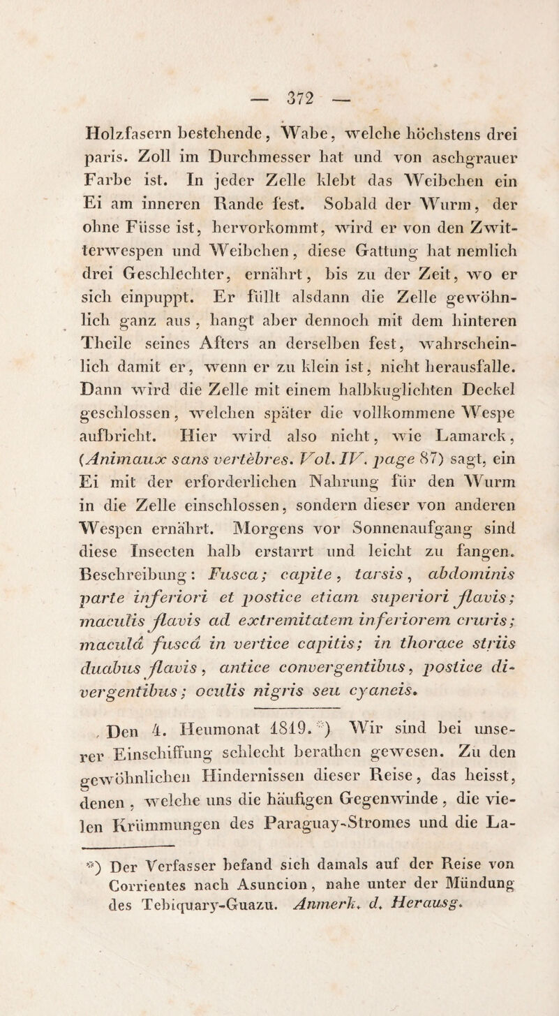 Holzfasern bestellende , Wabe, welche höchstens drei paris. Zoll im Durchmesser hat und von aschgrauer Farbe ist. In jeder Zelle klebt das Weibchen ein Ei am inneren Rande fest. Sobald der Wurm, der ohne Fiisse ist, hervorkommt, wird er von den Zwit- terwespen und Weibchen, diese Gattung hat nemlich drei Geschlechter, ernährt, bis zu der Zeit, wo er sich einpuppt. Er füllt alsdann die Zelle gewöhn¬ lich ganz aus , hangt aber dennoch mit dem hinteren Theile seines Afters an derselben fest, wahrschein¬ lich damit er, wenn er zu klein ist, nicht herausfalle. Dann wird die Zelle mit einem halbkuplichten Deckel o geschlossen, welchen später die vollkommene Wespe aufbrieht. Hier wird also nicht, wie Lamarck, (Animaux sans vertèbres. Vol. IV. page 87) sagt, ein Ei mit der erforderlichen Wahrung für den Wurm in die Zelle einschlossen, sondern dieser von anderen Wespen ernährt. Morgens vor Sonnenaufgang sind diese Insecten halb erstarrt und leicht zu fangen. Beschreibung: Fusca; capile , tarsis , abdominis parte inferiori et postice etiam superiori jlavis ; maculis Jlavis ad extremitatem inferiorem cruris; macula fused in vertice capitis; in thorace striis duabus Jlavis , antice convergentibus, postice di- vergentibus ; oculis ni gris seu cyaneis. Den 4. Heumonat 1819. ) Wir sind bei unse¬ rer Einschiffung schlecht berathen gewesen. Zu den gewöhnlichen Hindernissen dieser Reise, das heisst, denen , welche uns die häufigen Gegenwinde , die vie¬ len Krümmungen des Paraguay-Stromes und die La- *) Der Verfasser befand sich damals auf der Reise von Corrientes nach Asuncion, nahe unter der Mündung des Tebiquary-Guazu. Anmerk♦ d. Her aus g.