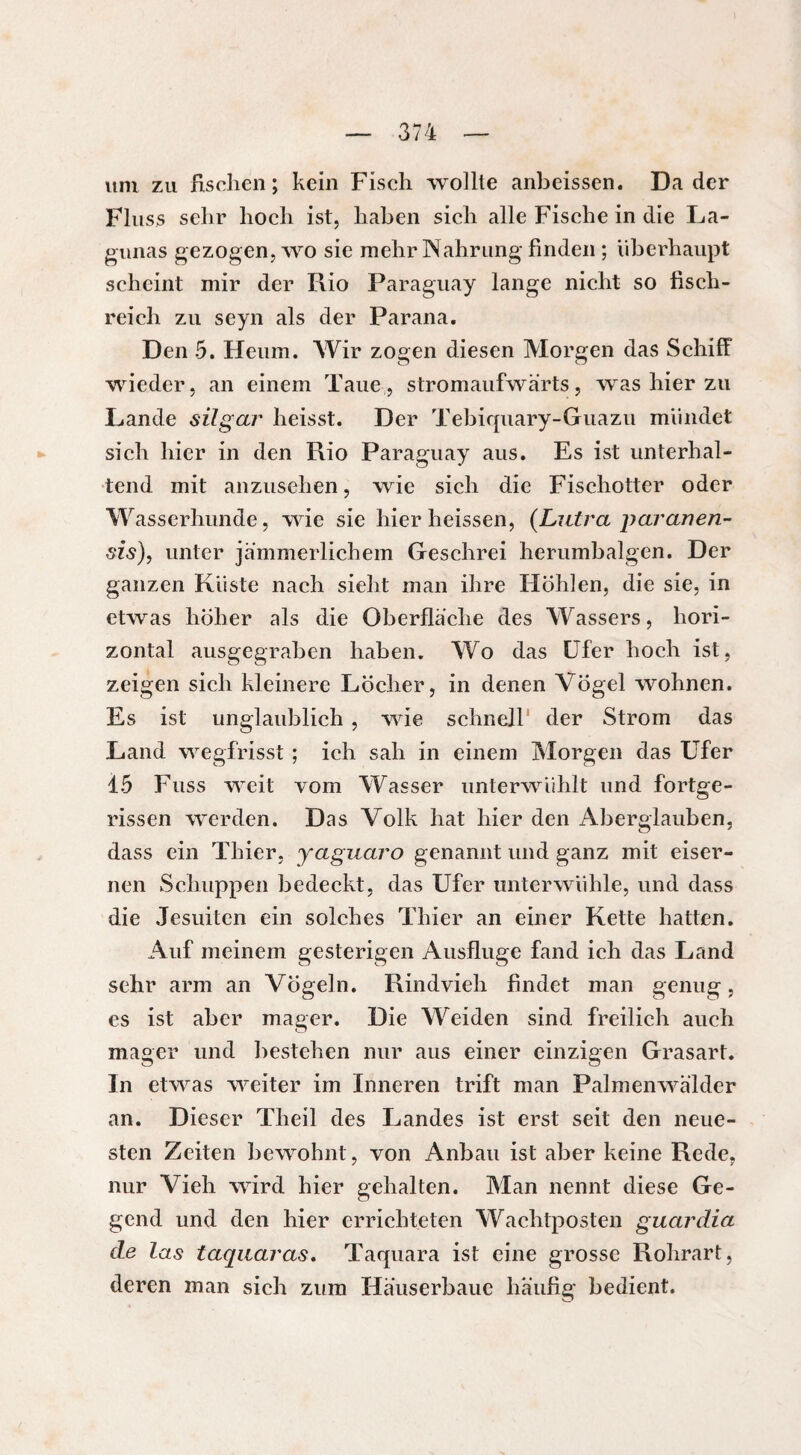 um zu fischen; kein Fisch wollte anbeissen. Da der Fluss sehr hoch ist, haben sich alle Fische in die La- gunas gezogen, wo sie mehr Nahrung finden ; überhaupt scheint mir der Rio Paraguay lange nicht so fisch¬ reich zu seyn als der Parana. Den 5. Heum. Wir zogen diesen Morgen das Schiff wieder, an einem Taue, stromaufwärts, was hier zu Lande silgar heisst. Der Tebiquary-Guazu mündet sich hier in den Rio Paraguay aus. Es ist unterhal¬ tend mit anzusehen, wie sich die Fischotter oder Wasserhunde, wie sie hier heissen, (Ljitra jiaratten¬ dis), unter jämmerlichem Geschrei herumbalgen. Der ganzen Küste nach sieht man ihre Höhlen, die sie, in etwas höher als die Oberfläche des Wassers, hori¬ zontal ausgegraben haben. Wo das Ufer hoch ist, zeigen sich kleinere Löcher, in denen Vögel wohnen. Es ist unglaublich , wie schnell der Strom das Land wegfrisst ; ich sah in einem Morgen das Ufer 15 Fuss weit vom Wasser unterwühlt und fortge¬ rissen werden. Das Volk hat hier den Aberglauben, dass ein Thier, yaguaro genannt und ganz mit eiser¬ nen Schuppen bedeckt, das Ufer unterwühle, und dass die Jesuiten ein solches Thier an einer Kette hatten. Auf meinem gesterigen Ausflüge fand ich das Land sehr arm an Vögeln. Rindvieh findet man genug, es ist aber mager. Die Weiden sind freilich auch mager und bestehen nur aus einer einzigen Grasart. In etwas weiter im Inneren trift man Palmenwälder an. Dieser Theil des Landes ist erst seit den neue¬ sten Zeiten bewohnt, von Anbau ist aber keine Rede, nur Vieh wird hier gehalten. Man nennt diese Ge¬ gend und den hier errichteten Wachtposten guardia de las taqaaras, Taquara ist eine grosse Rohrart, deren man sich zum Häuserbaue häufig bedient.