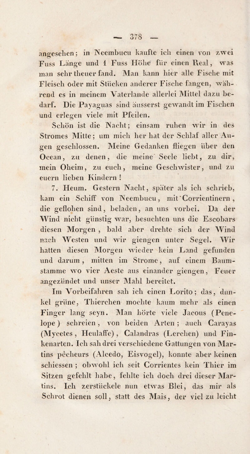 angesehen; in Neembucu kaufte ich einen von zwei Fuss Länge und i Fuss Höhe für einen Real, was man sehrtheuerfand. Man kann hier alle Fische mit Fleisch oder mit Stücken anderer Fische fangen, wäh¬ rend es in meinem Vaterlande allerlei Mittel dazu be¬ darf. Die Payaguas sind äusserst gewandtim Fischen und erlegen viele mit Pfeilen. Schön ist die Nacht; einsam ruhen wir in des Stromes Mitte ; um mich her hat der Schlaf aller Au¬ gen geschlossen. Meine Gedanken fliegen über den Océan, zu denen, die meine Seele liebt, zu dir, mein Oheim, zu euch, meine Geschwister, und zu euern lieben Kindern ! 7. Heum. Gestern Nacht, später als ich schrieb, kam ein Schilf von Neembucu, mit Corrientinern , die geflohen sind, beladen, an uns vorbei. Da der Wind nicht günstig war, besuchten uns die Escobars diesen Morgen , bald aber drehte sich der Wind nach Westen und wir giengen unter Segel. Wir hatten diesen Morgen wieder kein Land gefunden und darum, mitten im Strome, auf einem Baum¬ stamme wo vier Aeste aus einander giengen, Feuer ansezündet und unser Mahl bereitet. o Im Vorbeifahren sah ich einen Lorito ; das, dun¬ kel grüne, Thierchen mochte kaum mehr als einen Finger lang seyn. Man hörte viele Jacous (Pene¬ lope ) schreien , von beiden Arten ; auch Carayas (Mycetes , LIeulaffe) , Calandras (Lerchen) und Fin¬ kenarten. Ich sah drei verschiedene Gattungen von Mar¬ tins pêcheurs (Alcedo, Eisvogel), konnte aber keinen schiessen ; obwohl ich seit Corrientes kein Thier im Sitzen gefehlt habe, fehlte ich doch drei dieser Mar¬ tins. Ich zerstückele nun etwas Blei, das mir als Schrot dienen soll, statt des Mais, der viel zu leicht