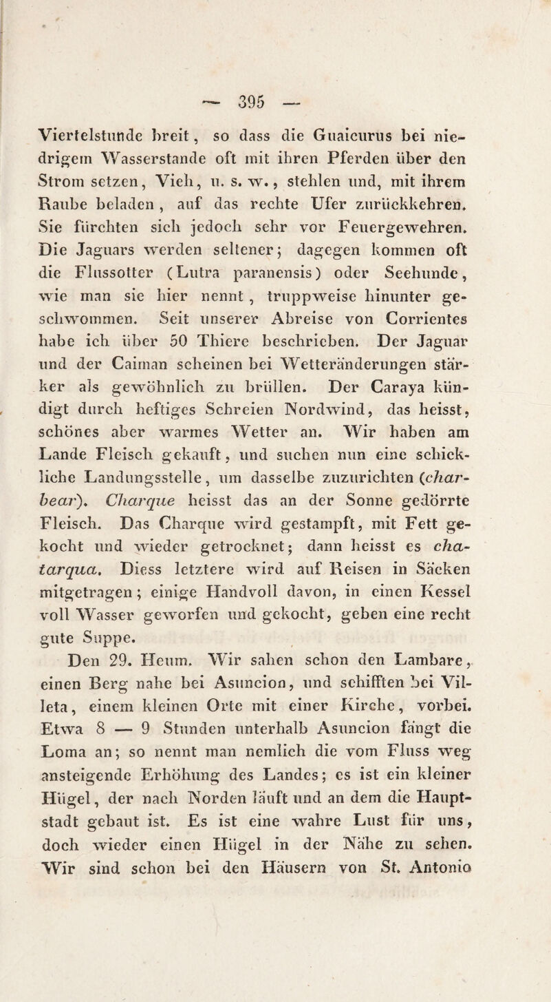 Viertelstunde breit, so dass die Guaicurus bei nie¬ drigem Wasserstande oft mit ihren Pferden über den Strom setzen, Vieh, n. s. w., stehlen und, mit ihrem Raube beladen , auf das rechte Ufer zurückkehren» Sie fürchten sich jedoch sehr vor Feuergewehren. Die Jaguars werden seltener; dagegen kommen oft die Flussotter (Lutra paranensis) oder Seehunde, wie man sie hier nennt , truppweise hinunter ge¬ schwommen. Seit unserer Abreise von Corrientes habe ich über 50 Thiere beschrieben. Der Jaguar und der Cairnan scheinen bei Wetteränderungen stär¬ ker als gewöhnlich zu brüllen. Der Caraya kün¬ digt durch heftiges Schreien Nordwind, das heisst, schönes aber warmes Wetter an. Wir haben am Lande Fleisch gekauft, und suchen nun eine schick¬ liche Landungsstelle , um dasselbe zuzurichten (char- bear). Char que heisst das an der Sonne gedörrte Fleisch. Das Charque wird gestampft, mit Fett ge¬ kocht und wieder getrocknet; dann heisst es cha- tarqua. Diess letztere wird auf Reisen in Säcken mitgetragen ; einige Handvoll davon, in einen Kessel voll Wasser geworfen und gekocht, geben eine recht gute Suppe. Den 29. He um. Wir sahen schon den Lambare, einen Berg nahe bei Asuncion, und schifften bei Vil- leta, einem kleinen Orte mit einer Kirche, vorbei. Etwa 8 — 9 Stunden unterhalb Asuncion fängt die Loma an; so nennt man nemlich die vom Fluss weg ansteigende Erhöhung des Landes; es ist ein kleiner Hügel, der nach Norden lauft und an dem die Haupt¬ stadt gebaut ist. Es ist eine wahre Lust für uns, doch wieder einen Hügel in der Nähe zu sehen. Wir sind schon bei den Häusern von St. Antonia