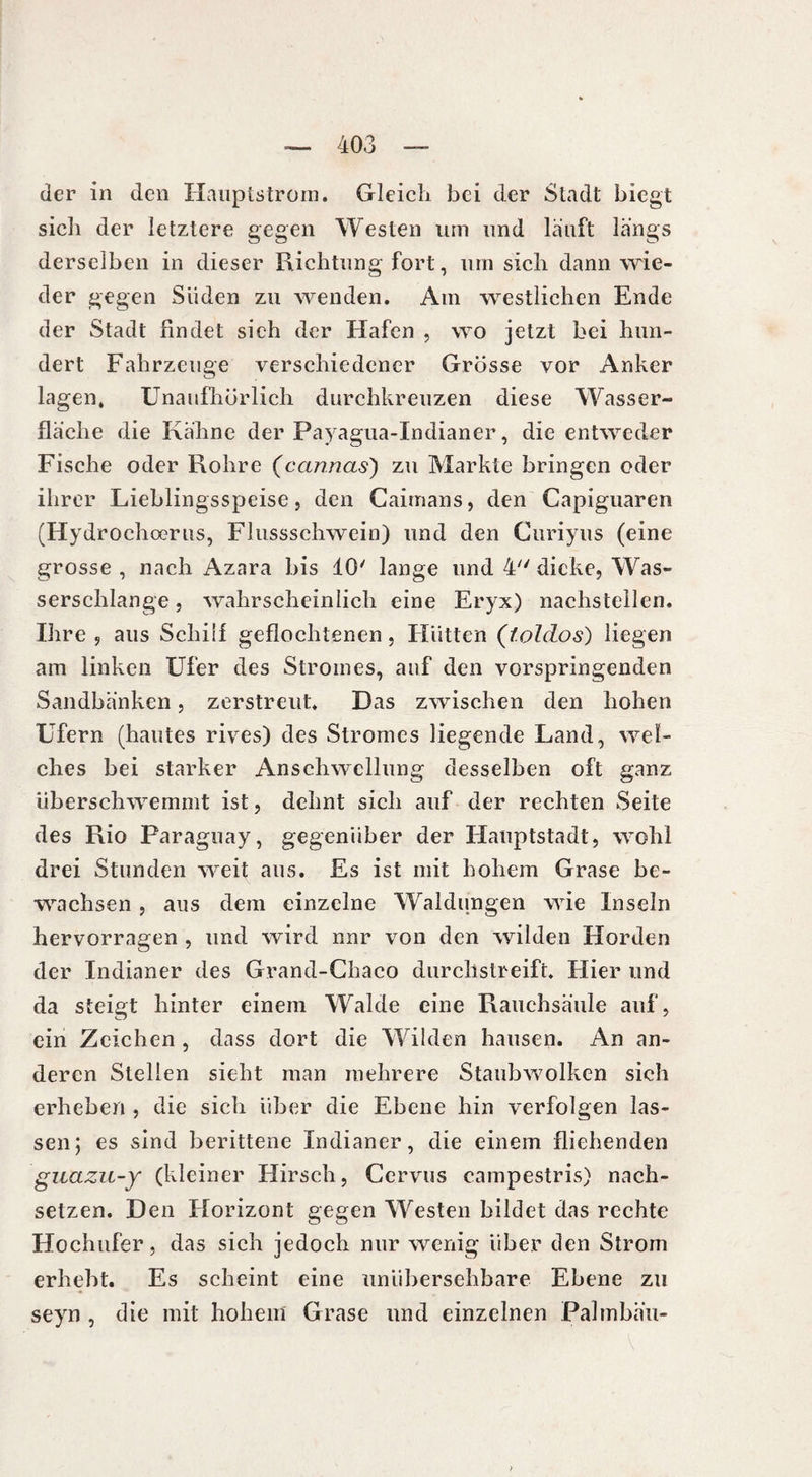 der in den Ilauptstrom. Gleich bei der Sladt biegt sieb der letztere gegen Westen um und lauft längs derselben in dieser Richtung fort, um sich dann wie¬ der gegen Süden zu wenden. Am westlichen Ende der Stadt findet sich der Hafen , wo jetzt bei hun¬ dert Fahrzeuge verschiedener Grösse vor Anker lagen, Unaufhörlich durchkreuzen diese Wasser¬ fläche die Kähne der Payagua-Indianer, die entweder Fische oder Rohre (cannas) zu Markte bringen oder ihrer Lieblingsspeise, den Caimans, den Capiguaren (Hydrochoerus, Flussschwein) und den Curiyus (eine grosse , nach Azara bis 10' lange und 4 dicke, Was¬ serschlange , wahrscheinlich eine Eryx) nachsteilen. Ihre , aus Schilf geflochtenen, Hütten (tolclos) liegen am linken Ufer des Stromes, auf den vorspringenden Sandbänken, zerstreut* Das zwischen den hohen Ufern (hautes rives) des Stromes liegende Land, wel¬ ches bei starker Anschwellung desselben oft ganz überschwemmt ist, dehnt sich auf der rechten Seite des Rio Paraguay, gegenüber der Hauptstadt, wohl drei Stunden weit aus. Es ist mit hohem Grase be¬ wachsen , aus dem einzelne Waldungen wie Inseln hervorragen , und wird nnr von den wilden Horden der Indianer des Grand-Chaco durchstreift. Hier und da steigt hinter einem Walde eine Rauchsäule auf, ein Zeichen, dass dort die Wilden hausen. An an¬ deren Stellen sieht man mehrere Staubwolken sich erheben , die sich über die Ebene hin verfolgen las¬ sen; es sind berittene Indianer, die einem fliehenden guazu-y (kleiner Hirsch, Cervus campestris) nach¬ setzen. Den Horizont gegen Westen bildet das rechte Hochufer, das sich jedoch nur wenig über den Strom erhebt. Es scheint eine unübersehbare Ebene zu seyn , die mit hohem Grase und einzelnen Palmbäu-