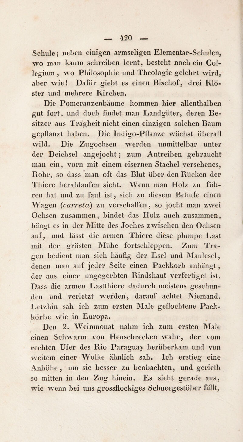 Schule ; neben einigen armseligen Elementar-Schulen, wo man kaum schreiben lernt, besteht noch ein Col¬ legium , wo Philosophie und Theologie gelehrt wird, aber wie ! Dafür giebt es einen Bischof, drei Klö¬ ster und mehrere Kirchen. Die Pomeranzenbäume kommen hier allenthalben gut fort, und doch findet man Landgüter, deren Be¬ sitzer aus Trägheit nicht einen einzigen solchen Baum gepflanzt haben. Die Indigo-Pflanze wachst überall wild. Die Zugochsen werden unmittelbar unter der Deichsel angejocht ; zum Antreiben gebraucht man ein, vorn mit einem eisernen Stachel versehenes, Rohr, so dass man oft das Blut über den Rücken der Tliiere herablaufen sieht. Wenn man Holz zu füh¬ ren hat und zu faul ist, sich zu diesem Behufe einen Wagen (carrêta) zu verschaffen, so jocht man zwei Ochsen zusammen, bindet das Holz auch zusammen, hangt es in der Mitte des Joches zwischen den Ochsen auf, und lasst die armen Thiere diese plumpe Last mit der grösten Mühe fortschleppen. Zum Tra¬ gen bedient man sich häufig der Esel und Maulesel, denen man auf jeder Seite einen Packkorb anhängt, der aus einer ungegerbten Rindshaut verfertiget ist. Dass die armen Lastthiere dadurch meistens geschun¬ den und verletzt werden, darauf achtet Niemand. Letzhin sah ich zum ersten Male geflochtene Pack¬ körbe wie in Europa. Den 2. Weinmonat nahm ich zum ersten Male einen Schwarm von Heuschrecken wahr, der vom rechten Ufer des Rio Paraguay herüberkam und von weitem einer Wolke ähnlich sah. Ich erstieg eine Anhöhe, um sie besser zu beobachten, und gerieth so mitten in den Zug hinein. Es sieht gerade aus, wie wenn bei uns grossflockiges Schneegestöber fällt,