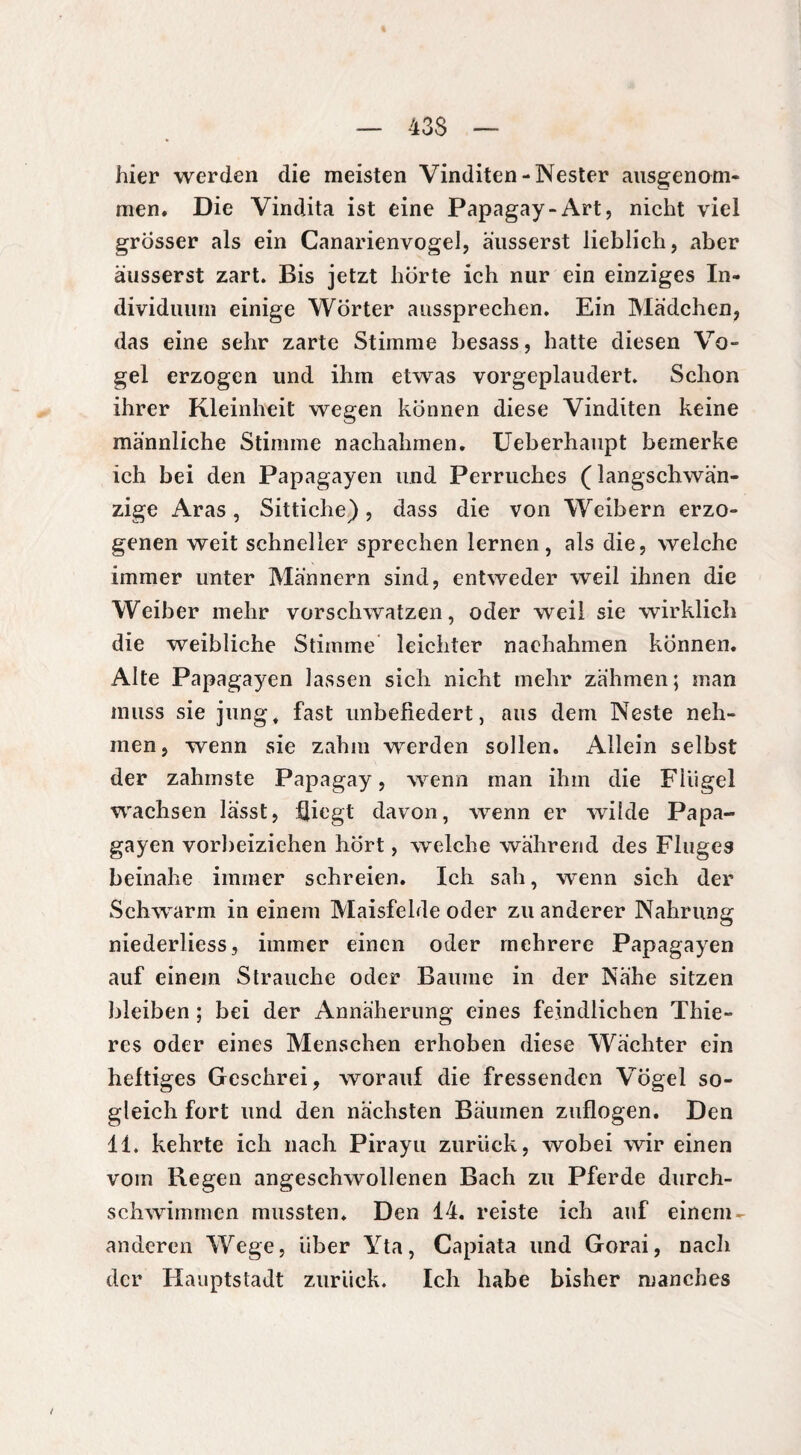 hier werden die meisten Vinditen-Nester ausgenom¬ men. Die Vindita ist eine Papagay-Art, nicht viel grösser als ein Canarienvogel, äusserst lieblich, aber äusserst zart. Bis jetzt hörte ich nur ein einziges In¬ dividuum einige Wörter anssprechen. Ein Mädchen, das eine sehr zarte Stimme besass, hatte diesen Vo¬ gel erzogen und ihm etwas vorgeplaudert. Schon ihrer Kleinheit wegen können diese Vinditen keine männliche Stimme nachahmen. Ueberhaupt bemerke ich bei den Papagayen und Perruches (langschwän- zige Aras, Sittiche), dass die von Weibern erzo¬ genen weit schneller sprechen lernen, als die, welche immer unter Männern sind, entweder weil ihnen die Weiber mehr vorschwatzen, oder weil sie wirklich die weibliche Stimme leichter naehahmen können. Alte Papagayen lassen sich nicht mehr zähmen; man muss sie jung, fast imbefiedert, aus dem Neste neh¬ men, wenn sie zahm werden sollen. Allein selbst der zahmste Papagay, wenn man ihm die Flügel wachsen lässt, fliegt davon, wenn er wilde Papa¬ gayen vorbeiziehen hört, welche während des Fluges beinahe immer schreien. Ich sah, wenn sich der Schwarm in einem Maisfelde oder zu anderer Nahrung niederliess, immer einen oder mehrere Papagayen auf einem Strauche oder Baume in der Nähe sitzen bleiben ; bei der Annäherung eines feindlichen Thie- res oder eines Menschen erhoben diese Wächter ein heftiges Geschrei, worauf die fressenden Vögel so¬ gleich fort und den nächsten Bäumen zuflogen. Den 11. kehrte ich nach Pirayu zurück, wobei wir einen vom Regen angeschwollenen Bach zu Pferde durch¬ schwimmen mussten. Den 14. reiste ich auf einem- anderen Wege, über Yta, Capiata und Gorai, nacli der Hauptstadt zurück. Ich habe bisher manches