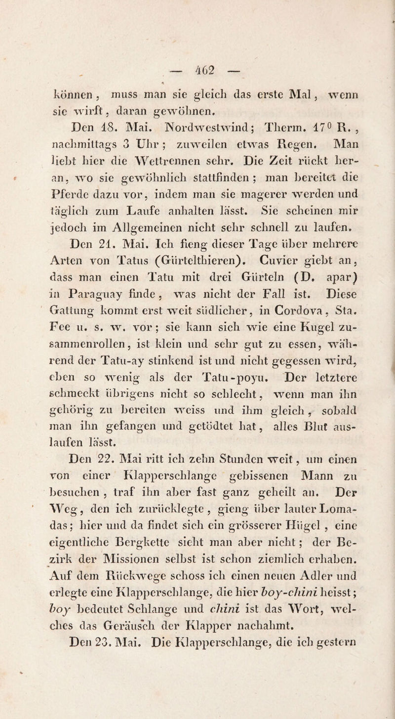 können, muss man sie gleich das erste Mal, wenn sic wirft , daran gewöhnen. Den 48. Mai. Nordwestwind; Tlierm. 47° R. , nachmittags 3 Uhr ; zuweilen etwas Regen. Man liebt hier die Wettrennen sehr. Die Zeit rückt her¬ an. wo sie gewöhnlich stattfinden ; man bereitet die Pferde dazu vor, indem man sie magerer werden und täglich zum Laufe anhalten lässt. Sie scheinen mir jedoch im Allgemeinen nicht sehr schnell zu laufen. Den 24. Mai. Ich fieng dieser Tage über mehrere Arten von Tatus (Giirtelthieren). Cuvier giebt an, dass man einen Tatu mit drei Gürteln (D. apar) in Paraguay finde , was nicht der Fall ist. Diese Gattung kommt erst weit südlicher, in Cordova, Sta. Fee u. s. w. vor; sie kann sich wie eine Kugel zu¬ sammenrollen , ist klein und sehr gut zu essen, wäh¬ rend der Tatu-ay stinkend ist und nicht gegessen wird, eben so wenig als der Tatu-poyu. Der letztere schmeckt übrigens nicht so schlecht, wenn man ihn gehörig zu bereiten wciss und ihm gleich , sobald man ihn gefangen und gctödtet hat, alles Blut aus- laufen lässt. Den 22. Mai ritt ich zehn Stunden weit, um einen von einer Klapperschlange gebissenen Mann zu besuchen , traf ihn aber fast ganz geheilt an. Der Weg, den ich zurücklegte , gieng über lauter Loma- das ; hier und da findet sich ein grösserer Hügel , eine eigentliche Bergkette sieht man aber nicht ; der Be¬ zirk der Missionen selbst ist schon ziemlich erhaben. Auf dem Rückwege schoss ich einen neuen Adler und erlegte eine Klapperschlange, die hier boy-chini heisst ; boy bedeutet Schlange und chini ist das Wort, wel¬ ches das Geräusch der Klapper nachahmt. Den 23. Mai. Die Klapperschlange, die ich gestern