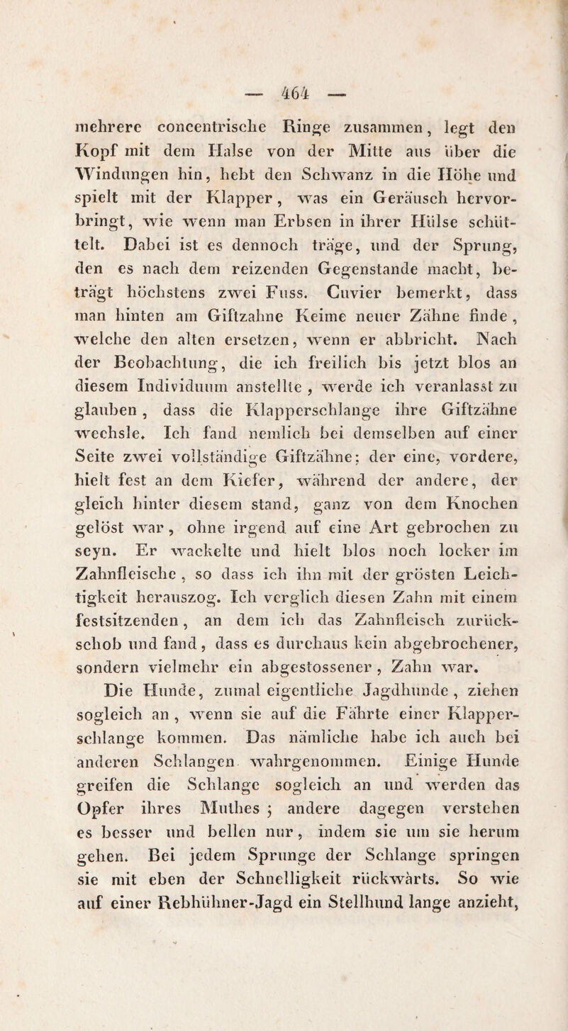 mehrere concentrische Ringe zusammen, legt den Kopf mit dem Halse von der Mitte aus über die Windungen hin, hebt den Schwanz in die Höhe und spielt mit der Klapper, was ein Geräusch hervor¬ bringt, wie wenn man Erbsen in ihrer Hülse schüt¬ telt. Dabei ist es dennoch träge, und der Sprung, den es nach dem reizenden Gegenstände macht, be¬ trägt höchstens zwei Fuss. Cuvier bemerkt, dass man hinten am Giftzahne Keime neuer Zähne finde , welche den alten ersetzen, wenn er abbriclit. Nach der Beobachtung, die ich freilich bis jetzt blos an diesem Individuum anstellte , werde ich veranlasst zu glauben , dass die Klapperschlange ihre Giftzähne wechsle. Ich fand nemlich bei demselben auf einer Seite zwei vollständige Giftzähne; der eine, vordere, hielt fest an dem Kiefer, während der andere, der gleich hinter diesem stand, ganz von dem Knochen gelöst war, ohne irgend auf eine Art gebrochen zu seyn. Er wackelte und hielt blos noch locker im Zahnfleische , so dass ich ihn mit der grösten Leich¬ tigkeit herauszog. Ich verglich diesen Zahn mit einem festsitzenden, an dem ich das Zahnfleisch zurück¬ schob und fand, dass es durchaus kein abgebrochener, sondern vielmehr ein abgestossener , Zahn war. Die Hunde, zumal eigentliche Jagdhunde, ziehen sogleich an , wenn sie auf die Fährte einer Klapper¬ schlange kommen. Das nämliche habe ich auch bei anderen Schlangen wahrgenommen. Einige Hunde greifen die Schlange sogleich an und werden das Opfer ihres Muthes ; andere dagegen verstehen es besser und bellen nur , indem sie um sie herum gehen. Bei jedem Sprunge der Schlange springen sie mit eben der Schnelligkeit rückwärts. So wie auf einer Rebhiihner-Jagd ein Stellhund lange anzieht,