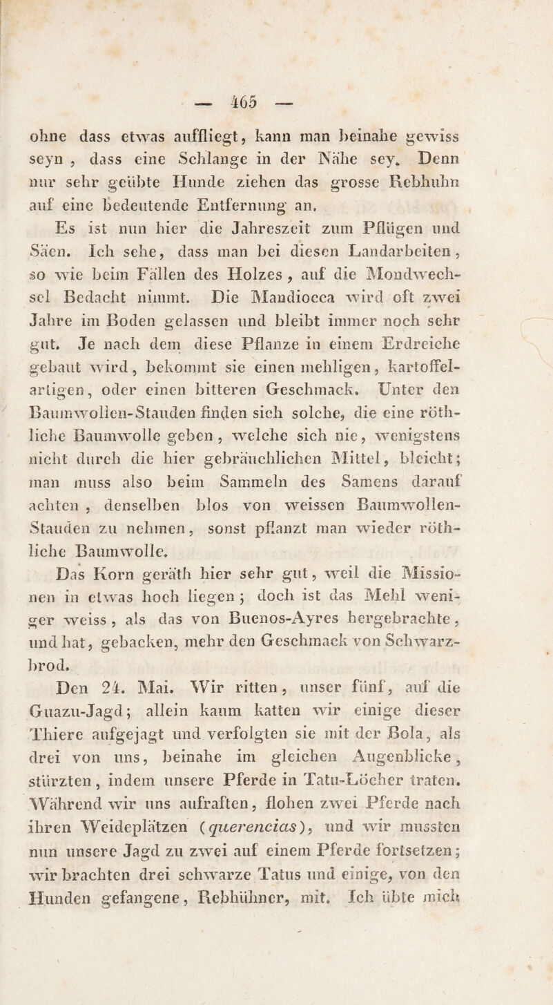 ohne dass etwas auffliegt, kann man beinahe gewiss seyn , dass eine Schlange in der Nahe sey. Denn nur sehr geübte Hunde ziehen das grosse Rebhuhn auf eine bedeutende Entfernung an. Es ist nun hier die Jahreszeit zum Pflügen und Säen. Ich sehe, dass man bei diesen Landarbeiten, so wie beim Fallen des Holzes , auf die Mondwech¬ sel Bedacht nimmt. Die Mandiocca wird oft zwei Jahre im Boden gelassen und bleibt immer noch sehr gut. Je nach dem diese Pflanze in einem Erdreiche gebaut wird, bekommt sie einen mehligen, kartoffel- artigen, oder einen bitteren Geschmack. Unter den Baumwolien-Stauden finden sich solche, die eine röth- liche Baumwolle geben , weiche sich nie, wenigstens nicht durch die hier gebräuchlichen Mittel, bleicht; man muss also beim Sammeln des Samens darauf achten , denselben blos von weissen Baumwolien- Stauden zu nehmen, sonst pflanzt man wieder roth- liehe Baumwolle. Das Korn geräth hier sehr gut, weil die Missio¬ nen in etwas hoch liegen ; doch ist das Mehl weni¬ ger weiss , als das von Buenos-Ayres hergebrachte, und hat, gebacken, mehr den Geschmack von Schwarz- brod. Den 24. Mai. Wir ritten, unser fünf, auf die Guazu-Jagd ; allein kaum katten wir einige dieser Thiere aufgejagt und verfolgten sie mit der Bola, als drei von uns, beinahe im gleichen Augenblicke, stürzten, indem unsere Pferde in Tatu-Löcher traten. Während wir uns aufraften, flohen zwei Pferde nach ihren Weideplätzen (querencias), und wir mussten nun unsere Jagd zu zwei auf einem Pferde fortsetzen ; wir brachten drei schwarze Talus und einige, von den Hunden gefangene, Rebhühner, mit. Ich übte mich