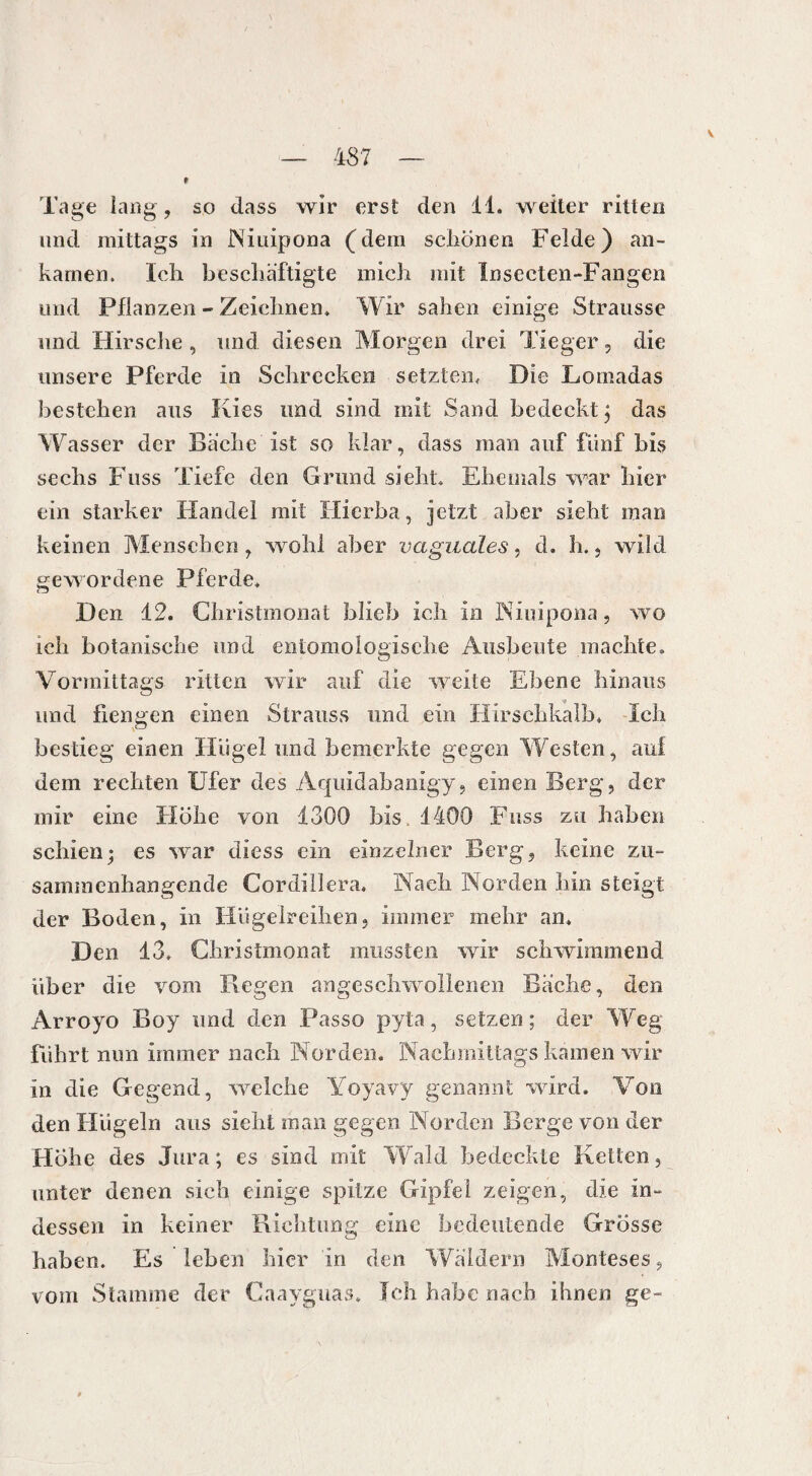 Tage lang, so dass wir erst den 11. weiter ritten und mittags in Niuipona (dem schönen Felde) an- karnen. Ich beschäftigte mich mit Insecten-Fangen und Pflanzen - Zeichnen. Wir sahen einige Strausse und Hirsche , und diesen Morgen drei Tieger, die unsere Pferde in Schrecken setzten, Die Lomadas bestehen aus Kies und sind mit Sand bedeckt ; das Wasser der Bache ist so klar, dass man auf fünf bis sechs Fuss Tiefe den Grund sieht. Ehemals war hier ein starker Handel mit Hierba, jetzt aber sieht man keinen Menschen, wohl aber vagaales, d. h., wild gewordene Pferde. Den 12. Christmonat blieb ich in Niuipona, wo ich botanische und entomologische Ausbeute machte. Vormittags ritten wir auf die weite Ebene hinaus und fiengen einen Strauss und ein Hirschkalb. Ich bestieg einen Hügel und bemerkte gegen Westen, auf dem rechten Ufer des Aquidabanigy, einen Berg, der mir eine Höhe von 1300 bis 1400 Fuss zu haben schien; es war diess ein einzelner Berg, keine zu¬ sammenhängende Cordillera. Nach Norden hin steigt der Boden, in Hügelreihen, immer mehr an. Den 13. Christmonat mussten wir schwimmend über die vom Regen angeschwollenen Bache, den Arroyo Boy und den Passo pyta, setzen; der Weg führt nun immer nach Norden. Nachmittags kamen wir in die Gegend, welche Yoyavy genannt wird. Von den Hügeln aus sieht man gegen Norden Berge von der Hohe des Jura; es sind mit Wald bedeckte Ketten, unter denen sich einige spitze Gipfel zeigen, die in¬ dessen in keiner Richtung eine bedeutende Grösse haben. Es leben hier in den Wäldern Monteses, vom Stamme der Caayguas. Ich habe nach ihnen ge-