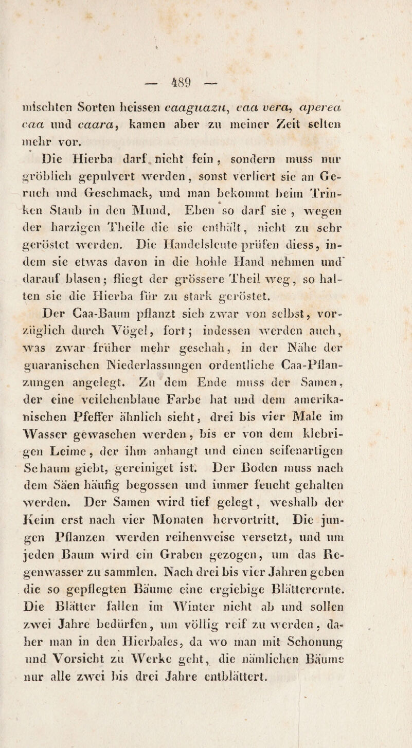 mischten Sorten heissen caaguazu, caa vera, aperea caa und caara, kamen aber zu meiner Zeit selten mehr vor. « Die Hierba darf, nicht fein , sondern muss nur gröblich gepulvert werden, sonst verliert sie an Ge¬ ruch und Geschmack, und man bekommt beim Trin¬ ken Staub in den Mund. Eben so darf sie , wegen der harzigen Theile die sie enthält, nicht zu sehr gerüstet werden. Die Handelsleute prüfen diess, in¬ dem sie etwas davon in die hohle Hand nehmen und* darauf blasen; fliegt der grössere Theii weg, so hal¬ ten sie die Hierba für zu stark geröstet. Der Caa-Baum pflanzt sieb zwar von selbst, vor¬ züglich durch Vögel, fort; indessen werden auch, was zwar früher mehr geschah, in der Nahe der guaranischen Niederlassungen ordentliche Caa-Pflan- zungen angelegt. Zu dem Ende muss der Samen, der eine veilchenblaue Farbe hat und dem amerika¬ nischen Pfeifer ähnlich sieht, drei bis vier Male im Wasser gewaschen werden, bis er von dem klebri¬ gen Leime , der ihm anhangt und einen seifenartigen Schaum giebl, gereiniget ist. Der Boden muss nach dem Säen häufig begossen und immer feucht gehalten werden. Der Samen wird tief gelegt, weshalb der Keim erst nach vier Monaten hervorlritt. Die jun¬ gen Pflanzen werden reihenweise versetzt, und um jeden Baum wird ein Graben gezogen, um das Re¬ genwasser zu sammlcn. Nach drei bis vier Jahren geben die so gepflegten Bäume eine ergiebige Blätterernte. Die Blätter fallen im Winter nicht ab und sollen zwei Jahre bedürfen, um völlig reif zu werden, da¬ her man in den Hierbales, da wo man mit Schonung und Vorsicht zu Werke geht, die nämlichen Bäume mir alle zwei bis drei Jahre entblättert.