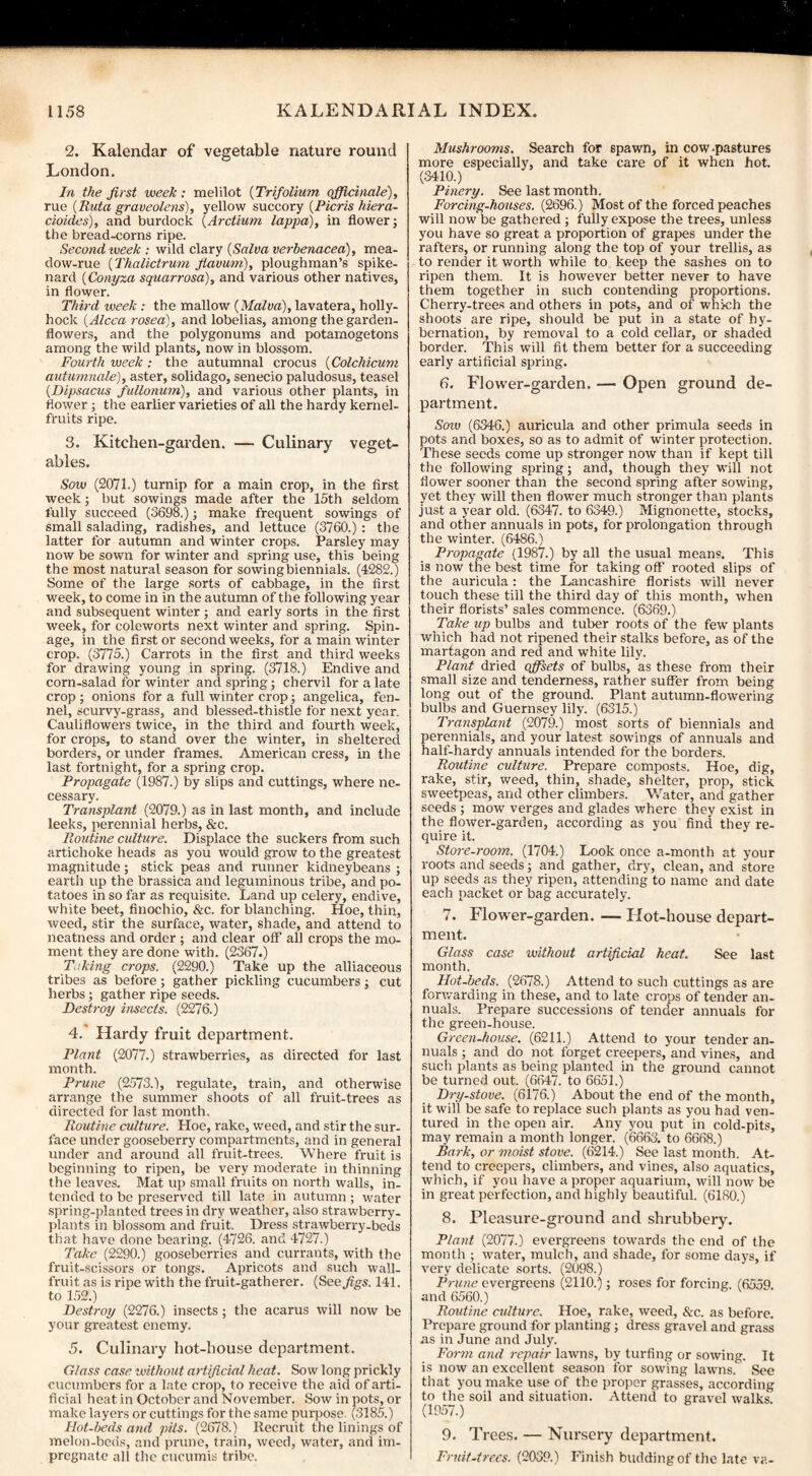 2. Kalendar of vegetable nature round London. In the first week: rnelilot (Trifolium officinale), rue (Ruta graveolens), yellow succory {Pieris hiera- cioides), and burdock {Arctium lappa), in flower; the bread-corns ripe. Second week : wild clary {Salva verbenacea), mea¬ dow-rue {Thalictrum fiavum), ploughman’s spike¬ nard {Conyza squarrosa), and various other natives, in flower. Third week : the mallow {Malva), lavatera, holly¬ hock {Alcca rosea), and lobelias, among the garden- flowers, and the polygonums and potamogetons among the wild plants, now in blossom. Fourth week : the autumnal crocus {Colchicum autumnale), aster, solidago, senecio paludosus, teasel {Dipsacus fullonum), and various other plants, in flower ; the earlier varieties of all the hardy kernel- fruits ripe. 3. Kitchen-garden. — Culinary veget¬ ables. Sow (2071.) turnip for a main crop, in the first week; but sowings made after the 15th seldom fully succeed (3698.); make frequent sowings of small salading, radishes, and lettuce (3760.) : the latter for autumn and winter crops. Parsley may now be sown for winter and spring use, this being the most natural season for sowing biennials. (4282.) Some of the large sorts of cabbage, in the first week, to come in in the autumn of the following year and subsequent winter; and early sorts in the first week, for coleworts next winter and spring. Spin- age, in the first or second weeks, for a main winter crop. (3775.) Carrots in the first and third weeks for drawing young in spring. (3718.) Endive and corn-salad for winter and spring; chervil for a late crop ; onions for a full winter crop; angelica, fen¬ nel, scurvy-grass, and blessed-thistle for next year. Cauliflowers twice, in the third and fourth week, for crops, to stand over the winter, in sheltered borders, or under frames. American cress, in the last fortnight, for a spring crop. Propagate (1987.) by slips and cuttings, where ne¬ cessary. Transplant (2079.) as in last month, and include leeks, perennial herbs, &c. Routine culture. Displace the suckers from such artichoke heads as you would grow to the greatest magnitude; stick peas and runner kidneybeans ; earth up the brassica and leguminous tribe, and po¬ tatoes in so far as requisite. Land up celery, endive, white beet, finochio, &c. for blanching. Hoe, thin, weed, stir the surface, water, shade, and attend to neatness and order ; and clear off all crops the mo¬ ment they are done with. (2367.) Taking crops. (2290.) Take up the alliaceous tribes as before; gather pickling cucumbers; cut herbs; gather ripe seeds. Destroy insects. (2276.) 4. Hardy fruit department. Plant (2077.) strawberries, as directed for last month. Prune (2573.), regulate, train, and otherwise arrange the summer shoots of all fruit-trees as directed for last month. Routine culture. Hoe, rake, weed, and stir the sur¬ face under gooseberry compartments, and in general under and around all fruit-trees. Where fruit is beginning to ripen, be very moderate in thinning the leaves. Mat up small fruits on north walls, in¬ tended to be preserved till late in autumn ; water spring-planted trees in dry weather, also strawberry- plants in blossom and fruit. Dress strawberry-beds that have done bearing. (4726. and 4727.) Take (2290.) gooseberries and currants, with the fruit-scissors or tongs. Apricots and such wall- fruit as is ripe with the fruit-gatherer. {See figs. 141. to 152.) Destroy (2276.) insects; the acarus will now be your greatest enemy. 5. Culinary liot-house department. Glass case without artificial heat. Sow long prickly cucumbers for a late crop, to receive the aid of arti¬ ficial heat in October and November. Sow in pots, or make layers or cuttings for the same purpose. (3185.) Hot-beds and pits. (2678.) Recruit the linings of melon-beds, and prune, train, weed, water, and im¬ pregnate all the cucumis tribe. Mushrooms. Search for spawn, in cow-pastures more especially, and take care of it when hot (3410.) Pinery. See last month. Forcing-houses. (2696.) Most of the forced peaches will now be gathered ; fully expose the trees, unless you have so great a proportion of grapes under the rafters, or running along the top of your trellis, as to render it worth while to keep the sashes on to ripen them. It is however better never to have them together in such contending proportions. Cherry-trees and others in pots, and of whkh the shoots are ripe, should be put in a state of hy¬ bernation, by removal to a cold cellar, or shaded border. This will fit them better for a succeeding early artificial spring. 6. Flower-garden. — Open ground de¬ partment. Soto (6346.) auricula and other primula seeds in pots and boxes, so as to admit of winter protection. These seeds come up stronger now than if kept till the following spring; and, though they will not flower sooner than the second spring after sowing, yet they will then flower much stronger than plants just a year old. (6347. to 6349.) Mignonette, stocks, and other annuals in pots, for prolongation through the winter. (6486.) Propagate (1987.) by all the usual means. This is now the best time for taking off rooted slips of the auricula: the Lancashire florists will never touch these till the third day of this month, when their florists’ sales commence. (6369.) Take up bulbs and tuber roots of the few plants which had not ripened their stalks before, as of the martagon and red and white lily. Plant dried offsets of bulbs, as these from their small size and tenderness, rather suffer from being long out of the ground. Plant autumn-flowering bulbs and Guernsey lily. (6315.) Transplant (2079.) most sorts of biennials and perennials, and your latest sowings of annuals and half-hardy annuals intended for the borders. Routine culture. Prepare composts. Hoe, dig, rake, stir, weed, thin, shade, shelter, prop, stick sweetpeas, and other climbers. Water, and gather seeds ; mow verges and glades where they exist in the flower-garden, according as you find they re¬ quire it. Store-room. (1704.) Look once a-month at your roots and seeds; and gather, dry, clean, and store up seeds as they ripen, attending to name and date each packet or bag accurately. 7. Flower-garden. — Hot-house depart¬ ment. Glass case without artificial heat. See last month. Hot-beds. (2678.) Attend to such cuttings as are forwarding in these, and to late crops of tender an¬ nuals. Prepare successions of tender annuals for the green-house. Green-house. (6211.) Attend to your tender an¬ nuals ; and do not forget creepers, and vines, and such plants as being planted in the ground cannot be turned out. (6647. to 6651.) Dry-stove. (6176.) About the end of the month, it will be safe to replace such plants as you had ven¬ tured in the open air. Any you put in cold-pits, may remain a month longer. (6663. to 6668.) Bark, or moist stove. (6214.) See last month. At¬ tend to creepers, climbers, and vines, also aquatics, which, if you have a proper aquarium, will now be in great perfection, and highly beautiful. (6180.) 8. Pleasure-ground and shrubbery. Plant (2077.) evergreens towards the end of the month ; water, mulch, and shade, for some days, if very delicate sorts. (2098.) Prune evergreens (2110.); roses for forcing. (6559. and 6560.) Routine culture. Hoe, rake, weed, &c. as before. Prepare ground for planting; dress gravel and grass as in June and July. Form and repair lawns, by turfing or sowing. It is now an excellent season for sowing lawns. See that you make use of the proper grasses, according to the soil and situation. Attend to gravel walks (1957.) 9. Trees. — Nursery department. Fruit-trees. (2039.) Finish budding of the late va-
