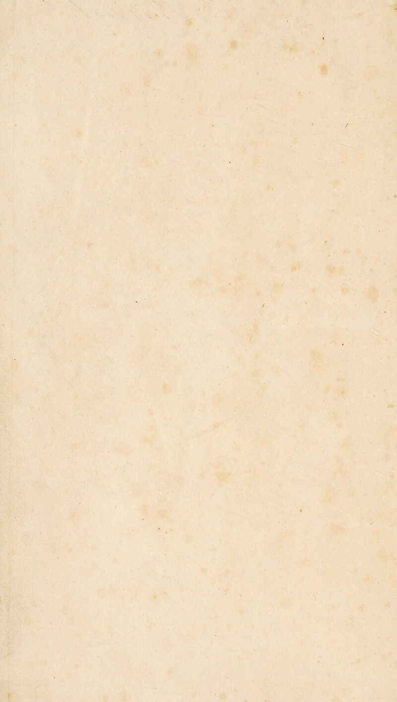 Y', j ^  -.-r :■ ' .# ■■' ■ .. r, ■ .^•>.< ... . ; '■ ' -..J .. .''. \ . -It-, f (< ■K \ I /• ’'t ■f f ■ -* I '. J ■ t'. .'■f •J y / A' ¥' • / f. ■y ‘ ■. 1 *