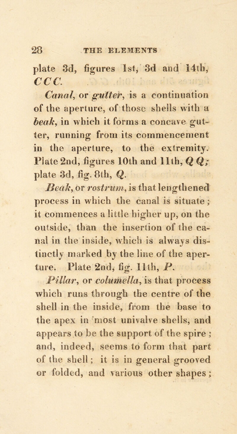 plate Sd, figures 1st, 3d and Mth, ccc. Canals or gutter^ is a continuation of the aperture, of those shells with a heak^ in which it forms a concave gut- ter, running from its commencement in the aperture, to the extremity. Plate 2nd, figures 10th and 11th, Q Q; plate 3d, fig. 8th, Q. Meak, or rostrum^ is that lengthened process in w hich the canal is situate; it commences a little higher up, on the outside, than the insertion of the ca- nal in the inside, which is always dis- tinctly marked by the line of the aper- ture. Plate 2nd, fig. llth, jP. Pillar^ or columella^ is that process which runs through the centre of the shell in the inside, from the base to the apex in ^most univalve shells, and appears to be the support of the spire ; and, indeed, seems to form that part of the shell; it is in general grooved or folded, and various other shapes;