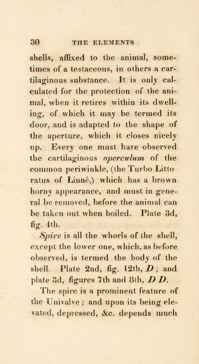 shells, affixed to the animal, some- times of a testaceous, in others a car- tilaginous substance. It is only cal- culated for the protection of the ani- mal, when it retires within its dwell- ing, of which it may be termed its door, .and is adapted to the shape of the aperture, which it closes nicely up. Every one must have observed the cartilaginous operculum of the common periwinkle, (the Turbo Litto ratus of Linne,) which has a brown horny appearance, and must in gene- ral be removed, before the animal can be taken out when boiled. Plate 3d, fig, 4th. Spire is all the whorls of the shell, except the lower one, which, as before observed, is termed the body of the shell. Plate 2nd, fig. I2th,jf>; and plate 3d, figures 7th and 8th, D D, The spire is a prominent feature of the Univalve ; and upon its being ele- vated, depressed, &c. depends much