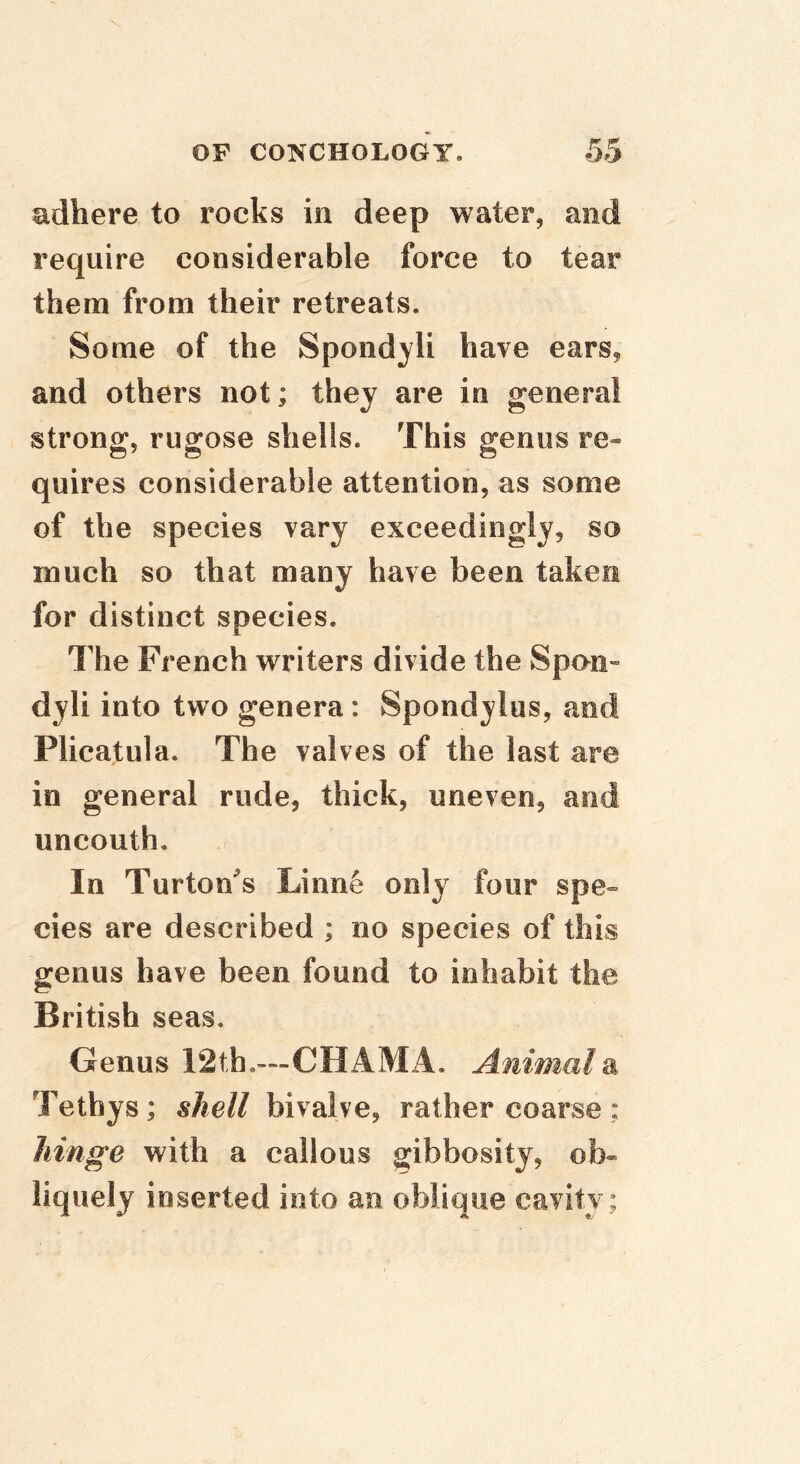 adhere to rocks in deep water, and require considerable force to tear them from their retreats. Some of the Spondyli have ears, and others not; they are in general strong, rugose shells. This genus re- quires considerable attention, as some of the species vary exceedingly, so much so that many have been taken for distinct species. The French writers divide the Spon- dyli into two genera: Spondylus, and Plicatula. The valves of the last are in general rude, thick, uneven, and uncouth. In Turton'^s Linn6 only four spe- cies are described ; no species of this genus have been found to inhabit the British seas. Genus 12th.—CHAMA. Animals Tethys; sAe// bivalve, rather coarse; hinge with a callous gibbosity, ob- liquely inserted into an oblique cavity;