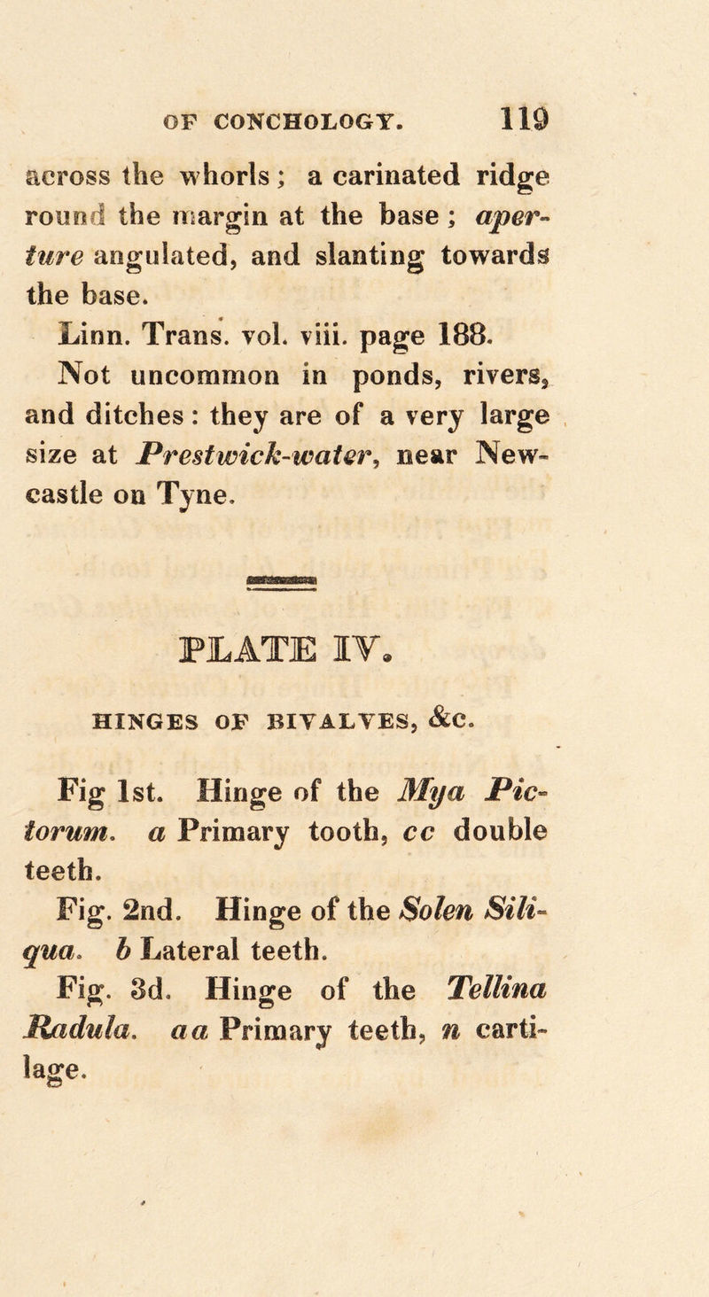 across the whorls; a carinated ridge round the margin at the base; aper- ture angulated, and slanting towards the base* Linn. Trans. voL viii. page 188. Not uncommon in ponds, rivers, and ditches: they are of a very large size at Prestwick-water^ near New- castle on Tyne, FJLATE IV. HINGES OF BIVALVES, &C. Fig 1st. Hinge of the My a Pic- lorum, a Primary tooth, cc double teeth. Fig. 2nd. Hinge of the Solen Silt- qua. b Lateral teeth. Fig. 3d. Hinge of the Tellina Radula. a a Primary teeth, n carti- lage.