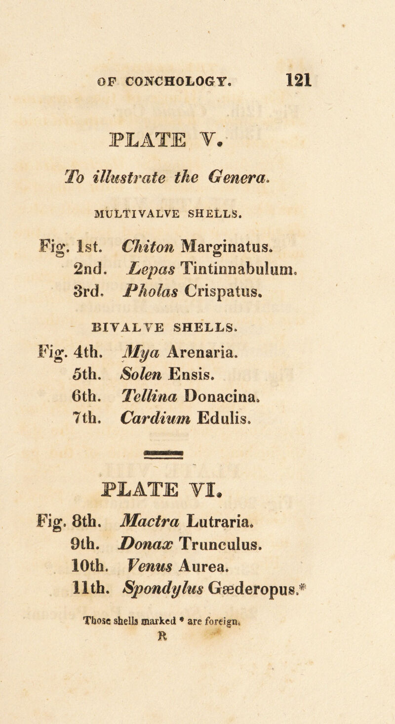 PLATE V. To illmtrate the Genera. MULTIVALVE SHELLS. Fig. 1st. Chiton Marginatus. 2nd. Lepas Tintinnabuluoi. 3rd, Pholas Crispatus, BIVALYE SHELLS, Fig. 4th. 3Iya Arenaria. 5th. Solen Ensis. 6th. Tellina Donacina* 7th. Cardium Edulis. PLATE VI. Fig. 8th. Mactra Lutraria* 9th. Donax Trunculus. loth, Venus Aurea. 11th. Spondylus Gsederopus.^ Those shells marked ♦ are foreisn. w