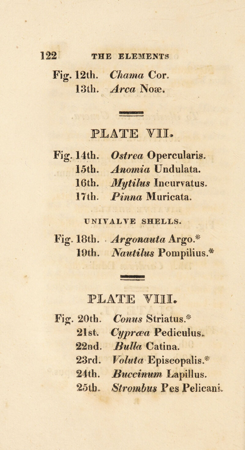 Fig. 12th. Chama Cor, 13th, Area Nose. PLATE VII. Fig. 14th. Ostrea Opercularis, 15th. Anemia Undulata. 16th. Mytihis Iiicurvatus, 17th. Pinna Muricata. IJNIVALTE SHELLS. Fig. 18th. Argonanta Avgo.^ 19th. Nautilus Pompilius.^ PLATE VIII. Fig. 20th. Conus Striatus.'^ 21st. Cypreea Pediculus. 22nd. Bulla Gatina. 23rd. Fo/wfa Episeopalis.^ 24th. Buccinum Lapillus. 25tb, Strombus Pes PelicanL