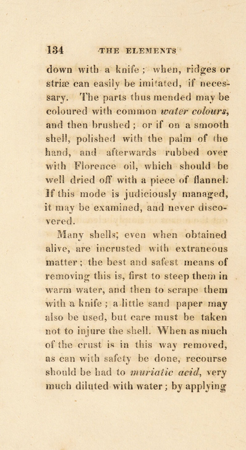 down, with' a knife when, ridges or striae can easily be imitated, if neces- sary. The parts thus mend-ed may be coionred with common water' coIoutm^ and then brushed ;■ or if on a smooth shelf, polisher! with the paion of the hand , and afterwards rubbed over with Florence oil, which should =- be welt dried off with 8 i piece of flannel: If this mode is judiciously managed, it may be examined, and never disco- vered. Many shells; even when obtained alive, are iiicrusted with extraneous matter; the best and safest means of removing this is, first to steep them in ivarm water, and then to scrape them with a knife ; a little sand paper may also be used, but care most be taken not to ioiore the shell. When as much of the crust is in this way removed, as can with safety be done, recourse should be had. to muriatic acid, very