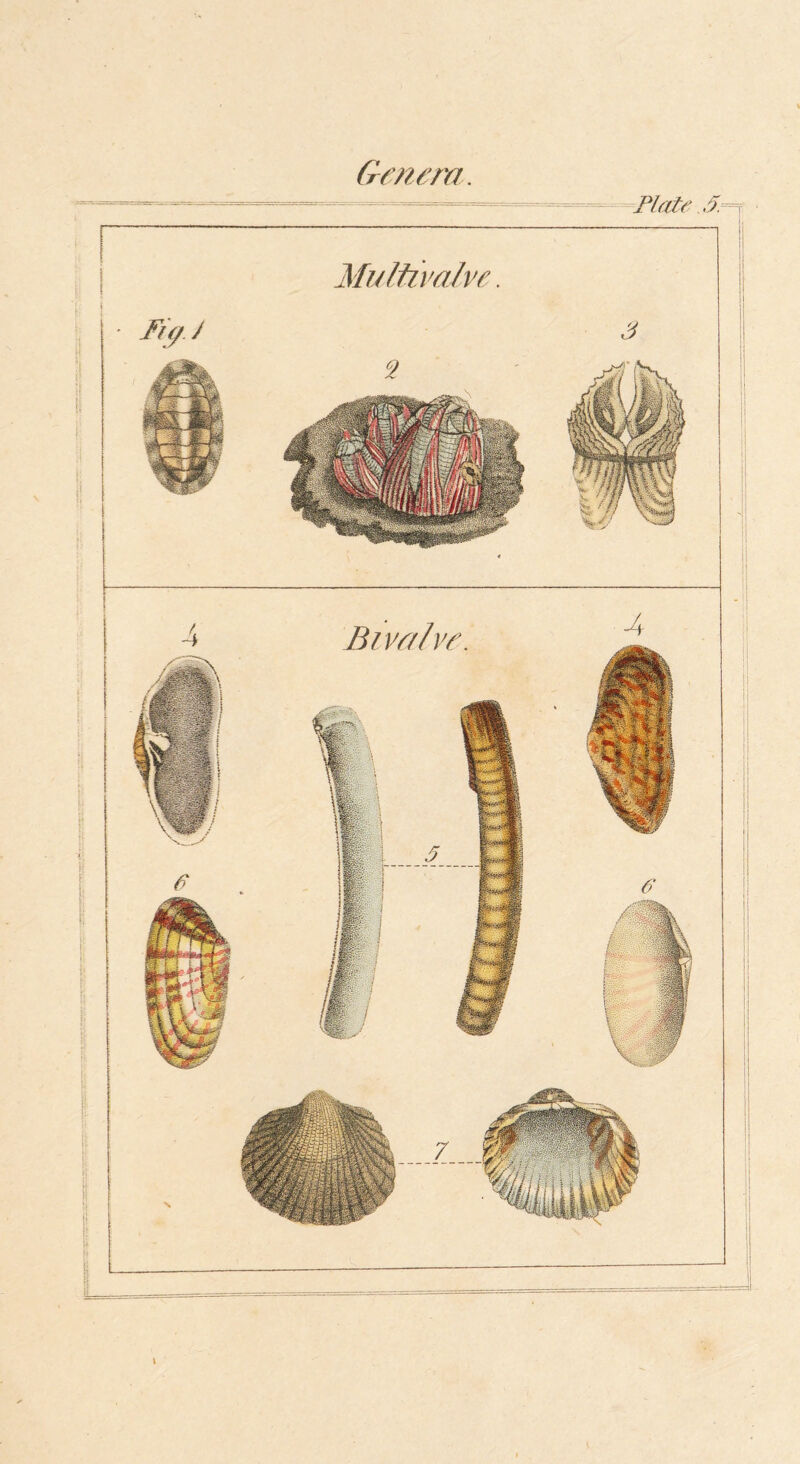 (rf/z^ra -Flatf Fi(/J Mulfii’aJve.