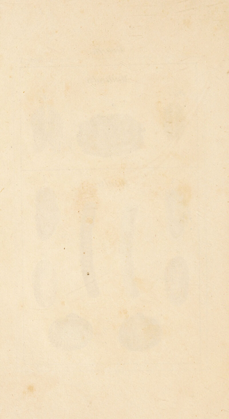 V ■ . * I ■ i ■ii /