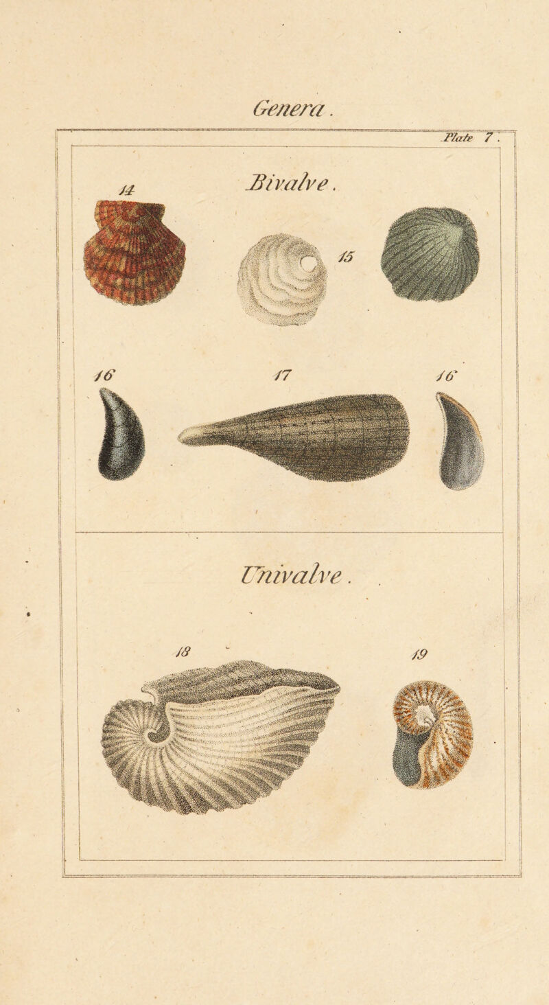 Genera. J^/m/ve. Univahe.