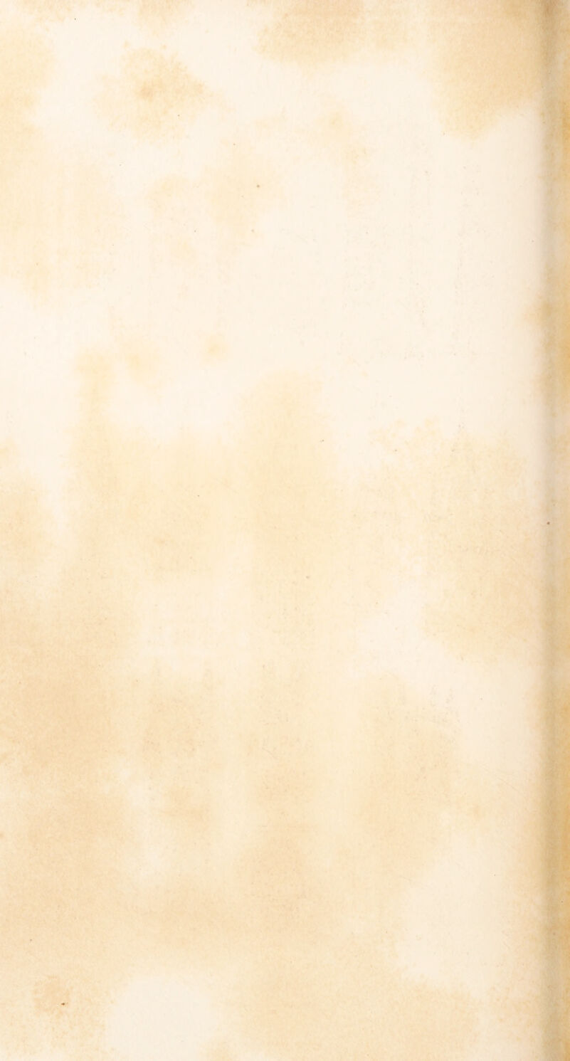 ■'■'■■■ 1.';* »>*’? -'■■ 11*^: ■•■■ iP^'yK f-vi t •~M~r ‘ , ‘ f” , ^ * I . A '• ' • . \j * » 'rj^H i» ' ■< V .A t ^ ■ L, «• ,•■ : It’ >-.-*• . /'’■., J ■»