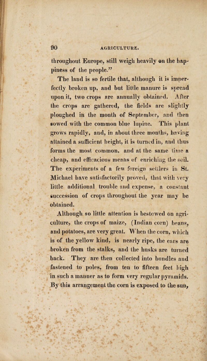 throughout Europe, still weigh heavily on the hap* piness of the people.” The land is so fertile that, although it is imper¬ fectly broken up, and but little manure is spread upon it, two crops are annually obtained. After the crops are gathered, the fields are slightly ploughed in the month of September, and then sowed with the common blue lupine. This plant grows rapidly, and, in about three months, having attained a sufficient height, it is turned in, and thus forms the most common, and at the same time a cheap, and efficacious means of enriching the soil. The experiments of a few foreign settlers in St. Michael have satisfactorily proved, that with very little additional trouble and expense, a constant succession of crops throughout the year may be obtained. Although so little attention is bestowed on agri¬ culture, the crops of maize, (Indian corn) beans, and potatoes, are very great. When the corn, which is of the yellow kind, is nearly ripe, the ears are broken from the stalks, and the husks are turned back. They are then collected into bundles and fastened to poles, from ten to fifteen feet high in such a maimer as to form very regular pyramids. By this arrangement the corn is exposed to the sun,,