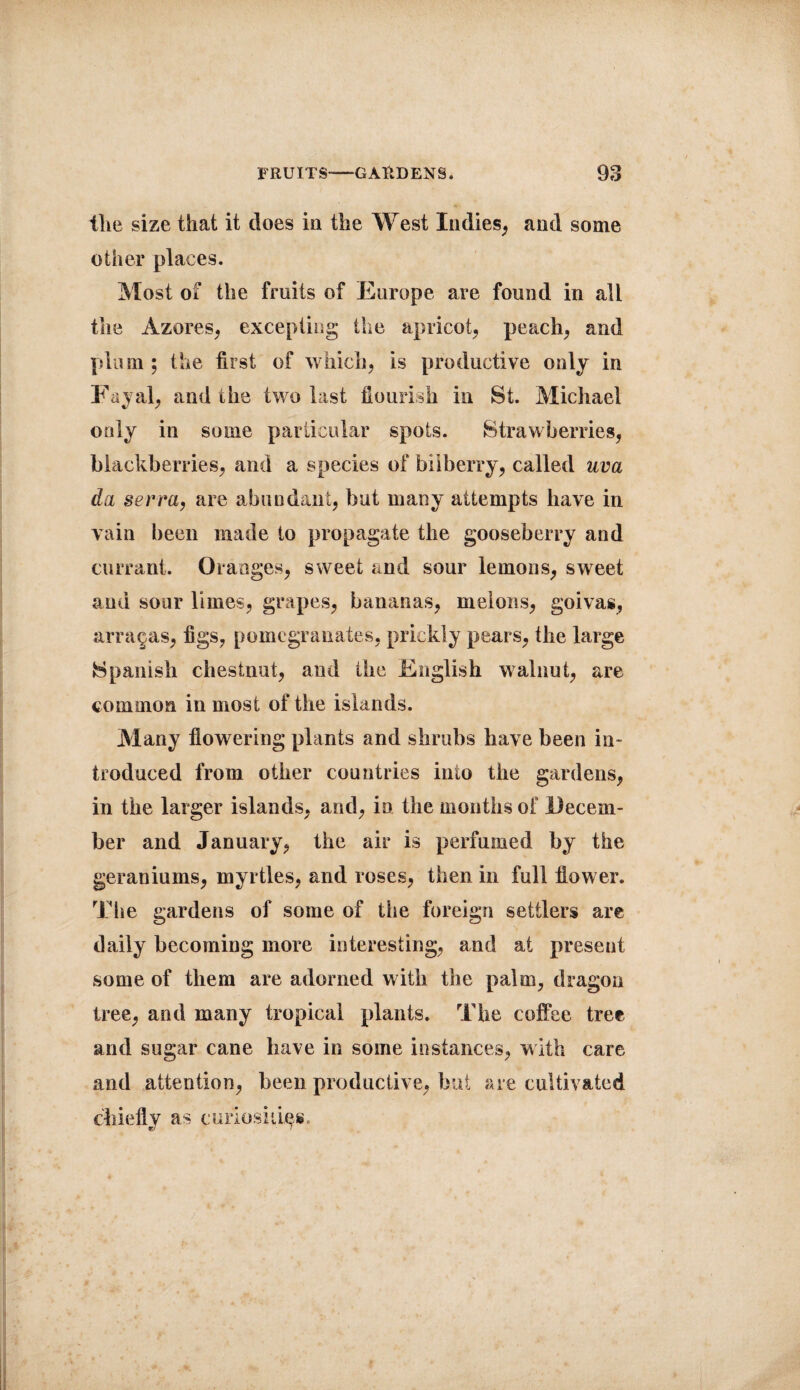 the size that it does in the West Indies, and some other places. Most of the fruits of Europe are found in all the Azores, excepting the apricot, peach, and plum ; the first of which, is productive only in Fayal, and the two last flourish in St. Michael only in some particular spots. Strawberries, blackberries, and a species of bilberry, called uva da serra, are abundant, but many attempts have in vain been made to propagate the gooseberry and currant. Oranges, sweet and sour lemons, sweet and sour limes, grapes, bananas, melons, goivas, arragas, figs, pomegranates, prickly pears, the large Spanish chestnut, and the English walnut, are common in most of the islands. Many flowering plants and shrubs have been in¬ troduced from other countries into the gardens, in the larger islands, and, in the months of Decem¬ ber and January, the air is perfumed by the geraniums, myrtles, and roses, then in full flower. The gardens of some of tiie foreign settlers are daily becoming more interesting, and at present some of them are adorned with the palm, dragon tree, and many tropical plants. The coffee tree and sugar cane have in some instances, with care and attention, been productive, but are cultivated chiefly as curiosities.